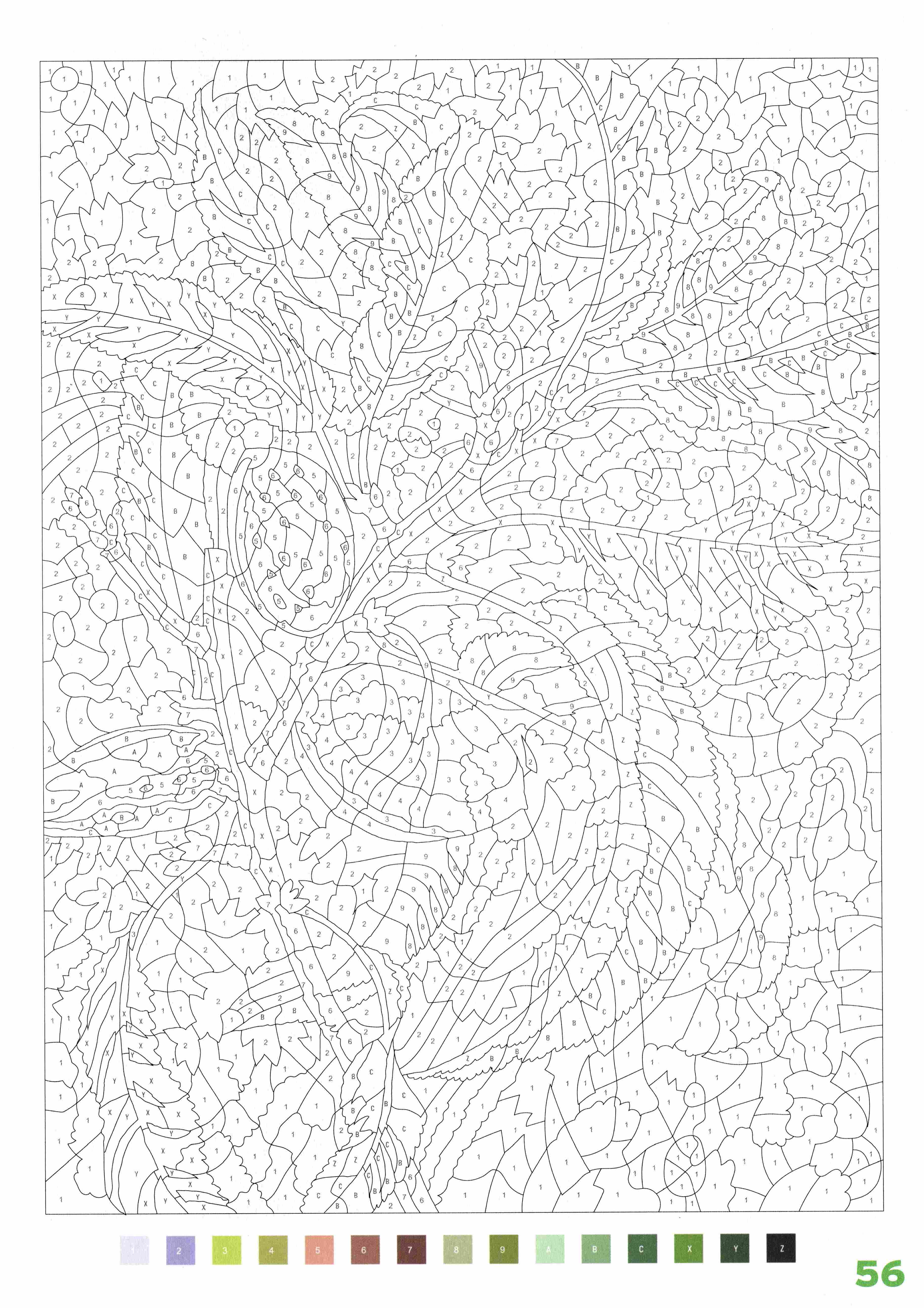 Раскраска Природа по номерам 56