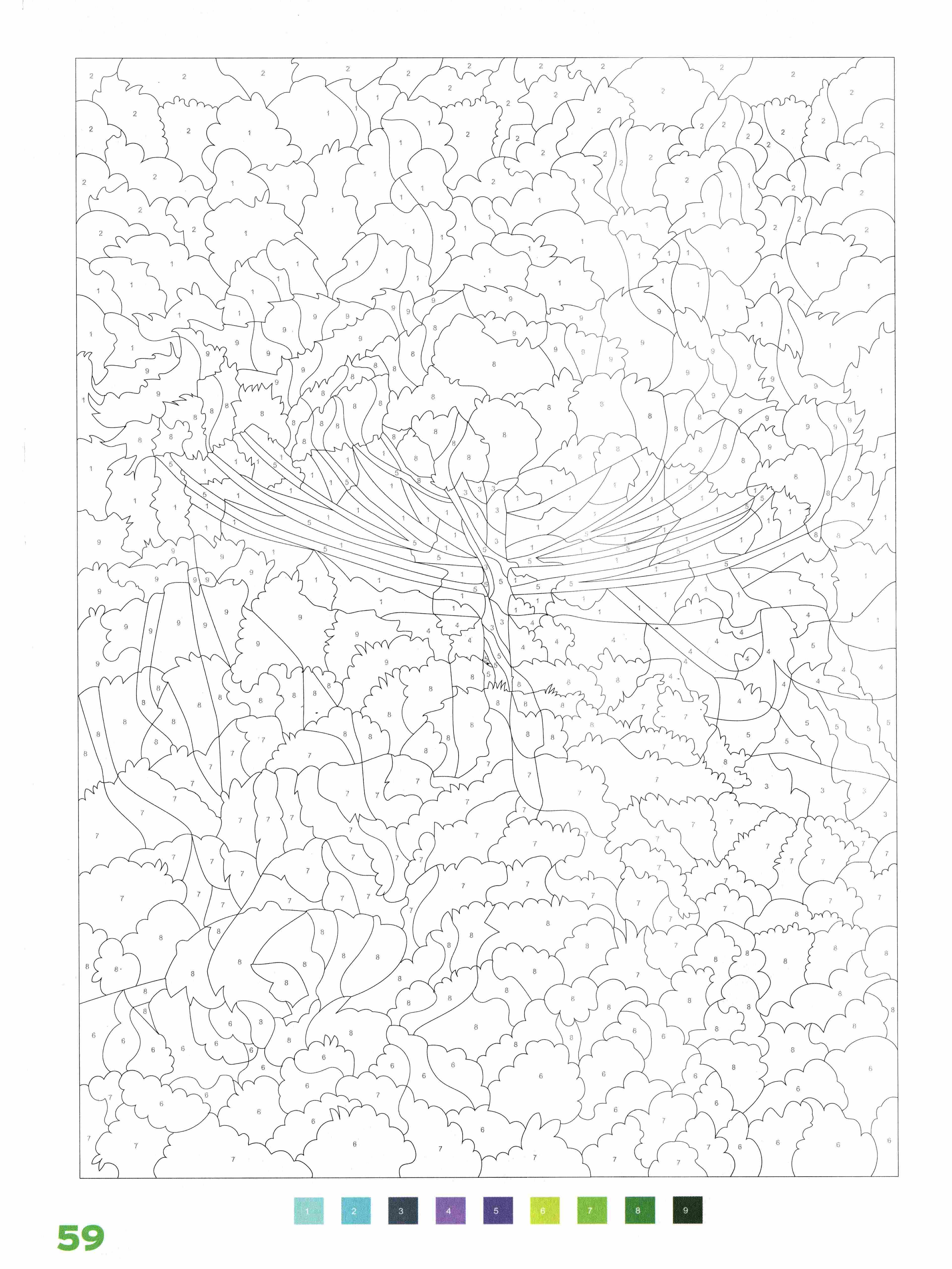 Раскраска Природа по номерам 59