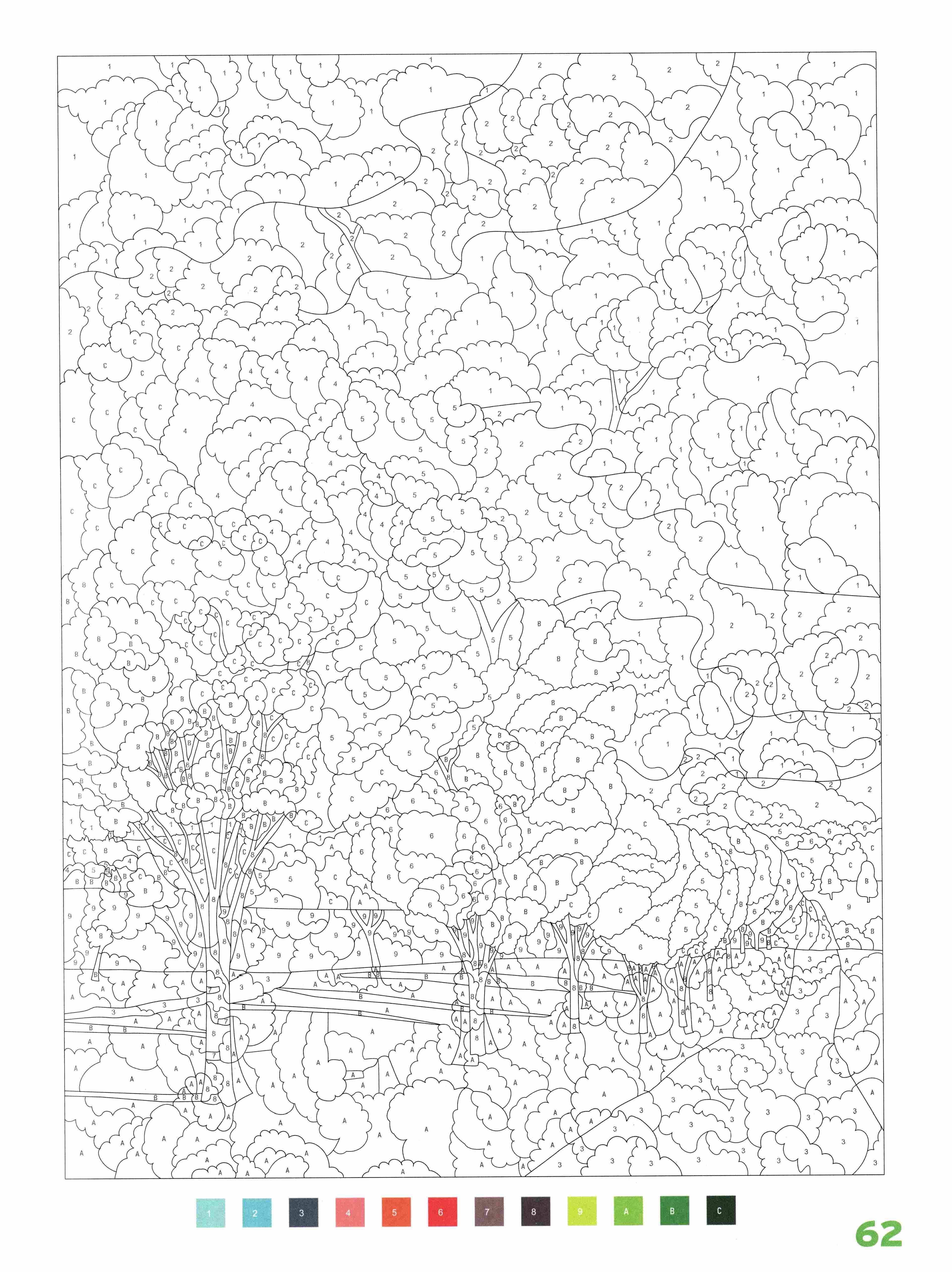 Раскраска Природа по номерам 62