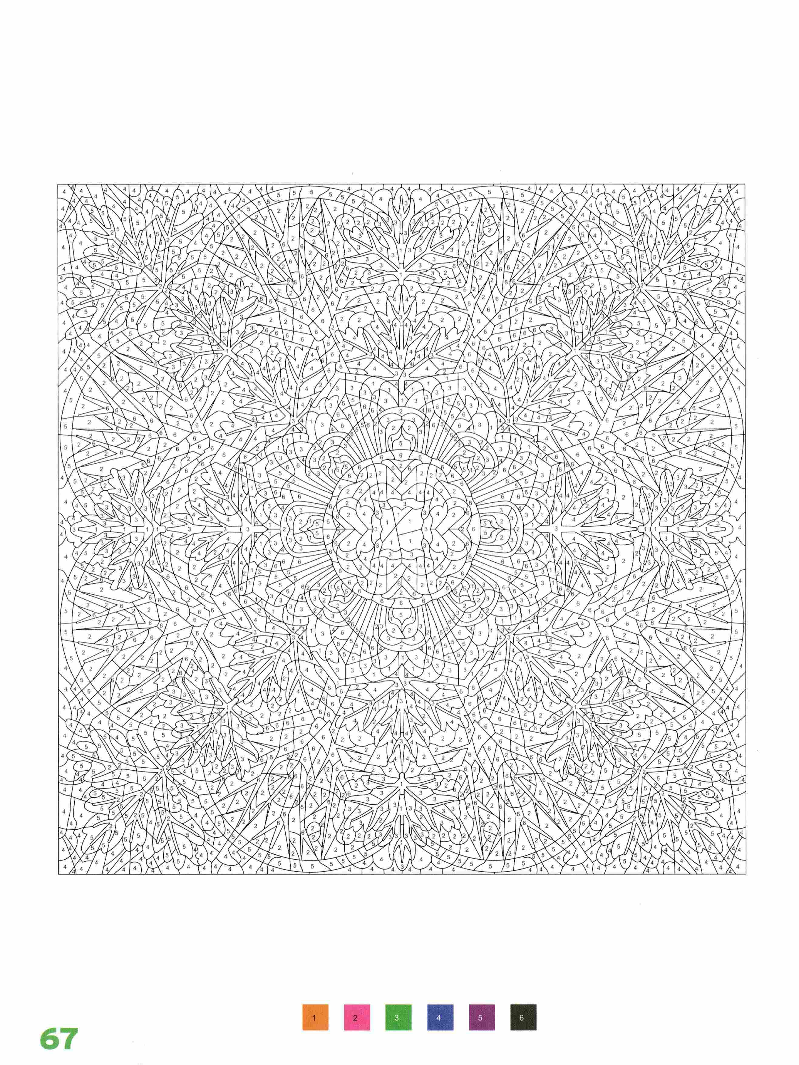 Раскраска Природа по номерам 67