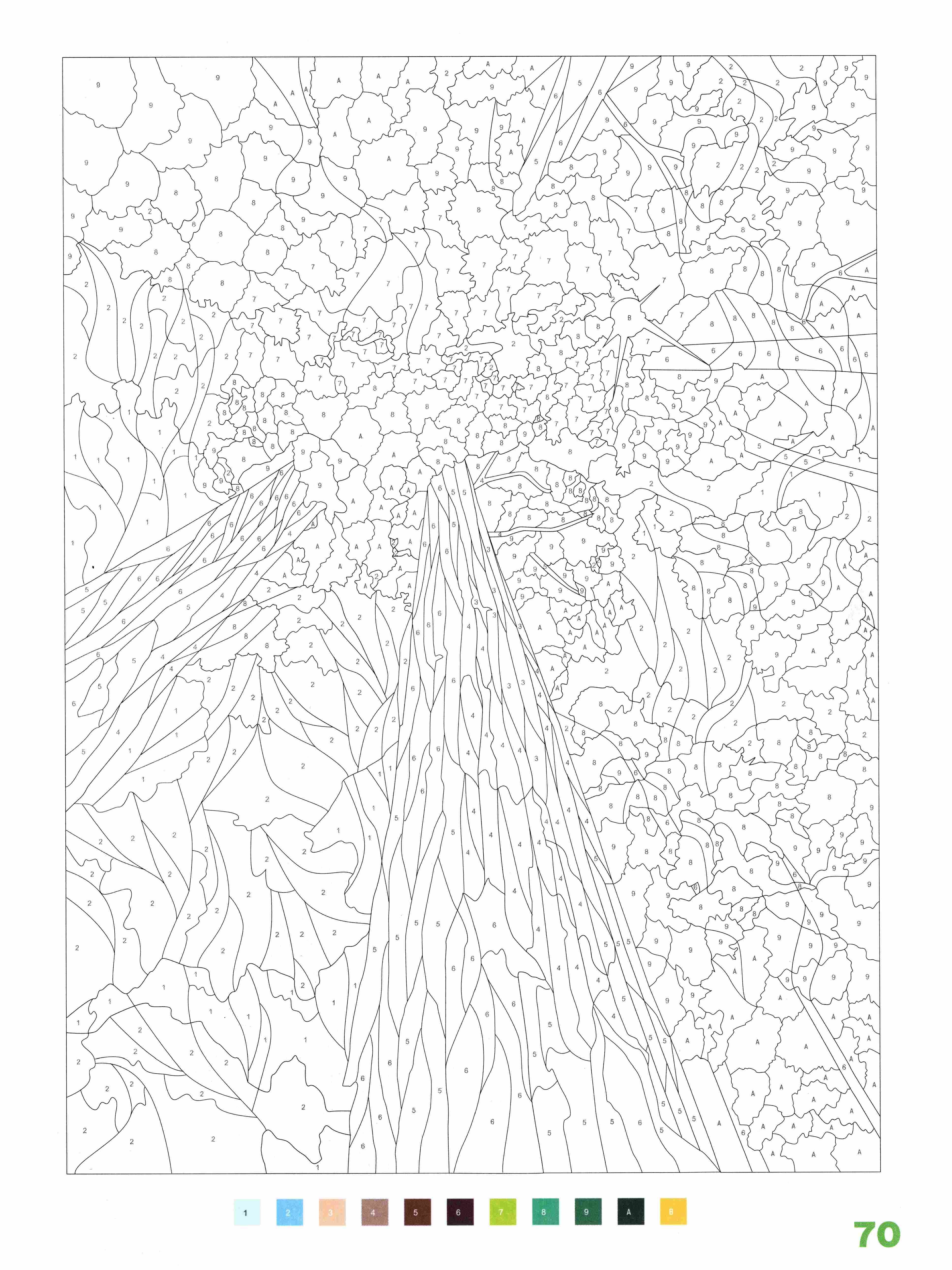 Раскраска Природа по номерам 70