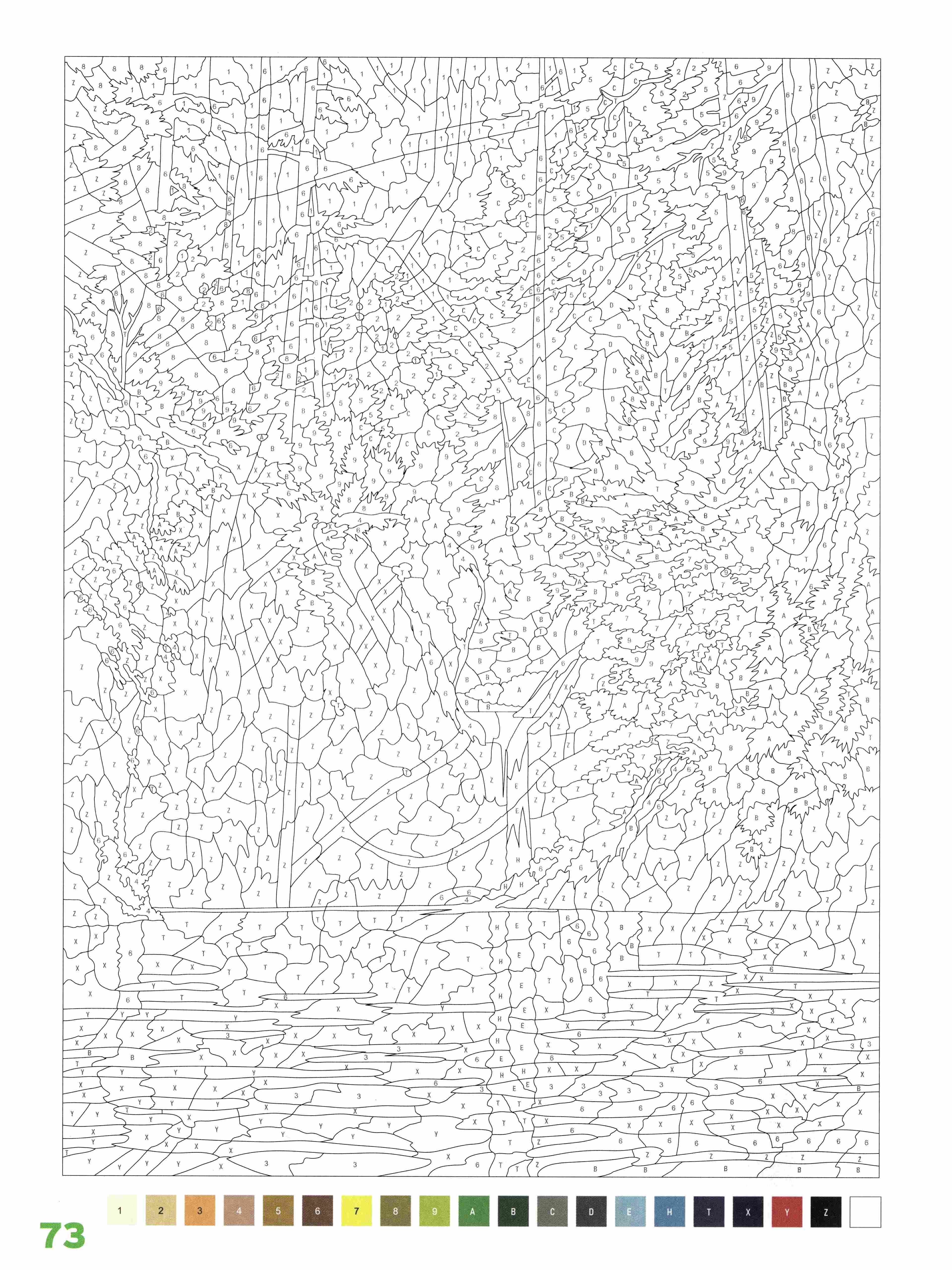 Раскраска Природа по номерам 73