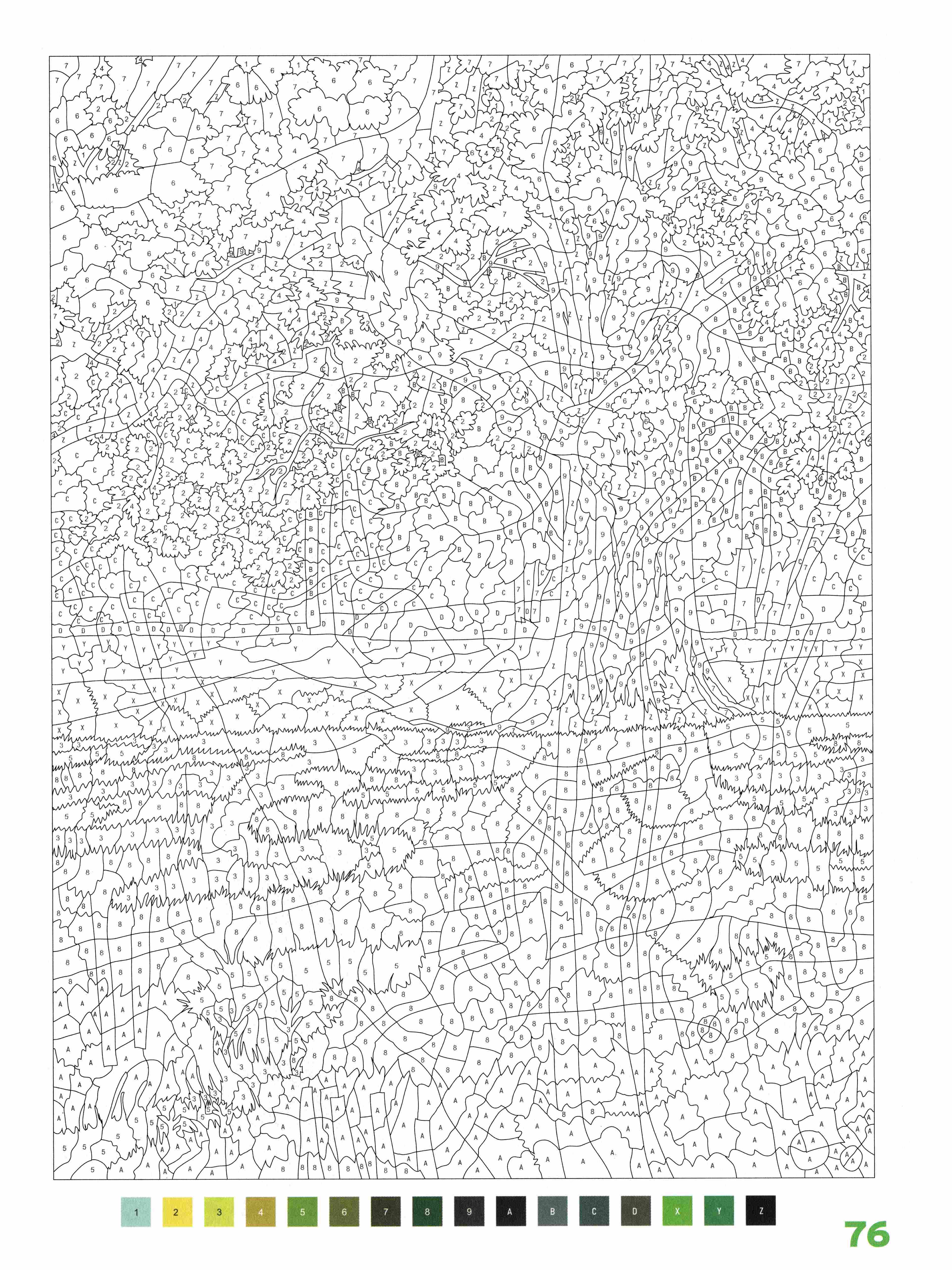 Раскраска Природа по номерам 76