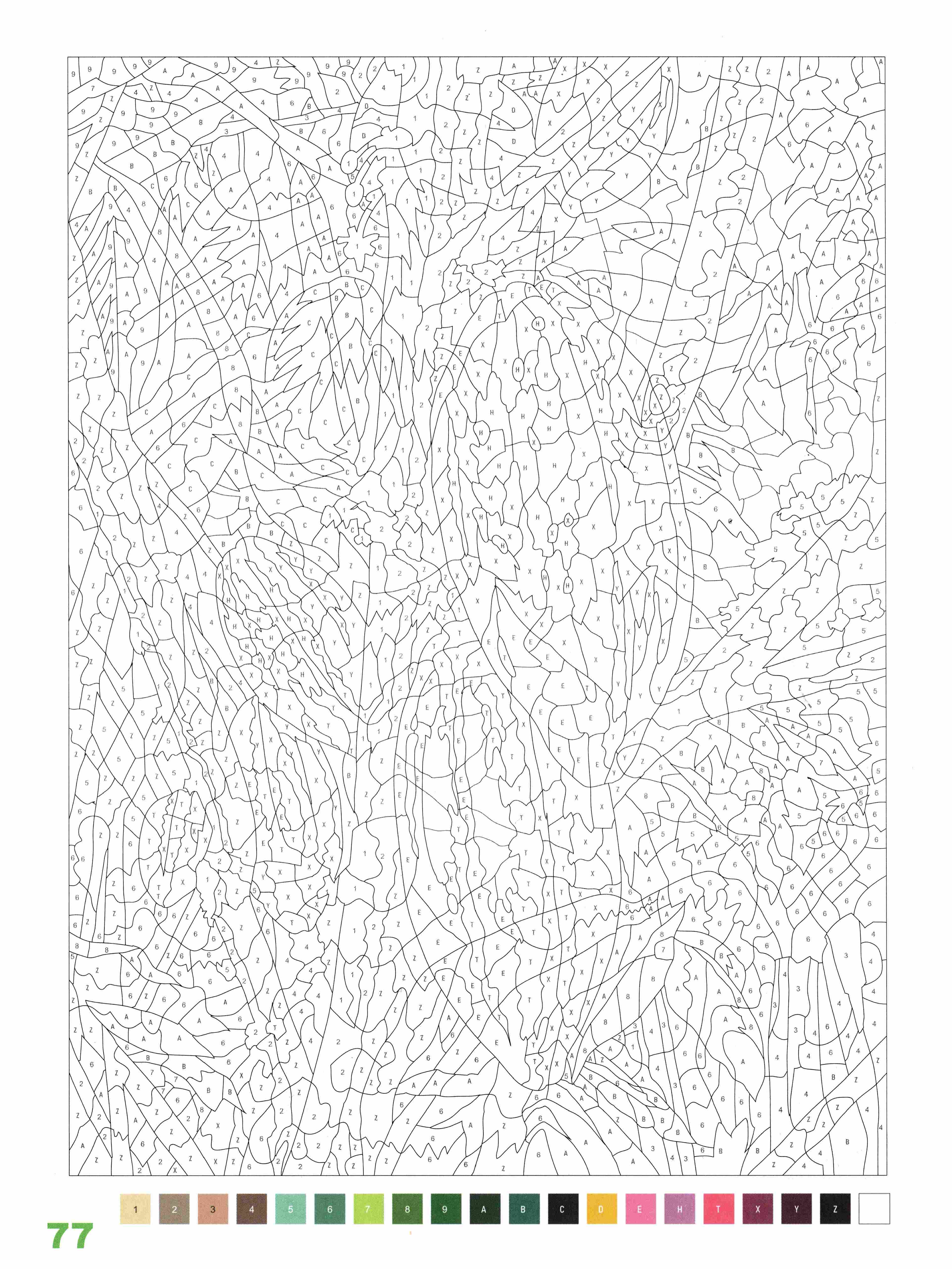 Раскраска Природа по номерам 77