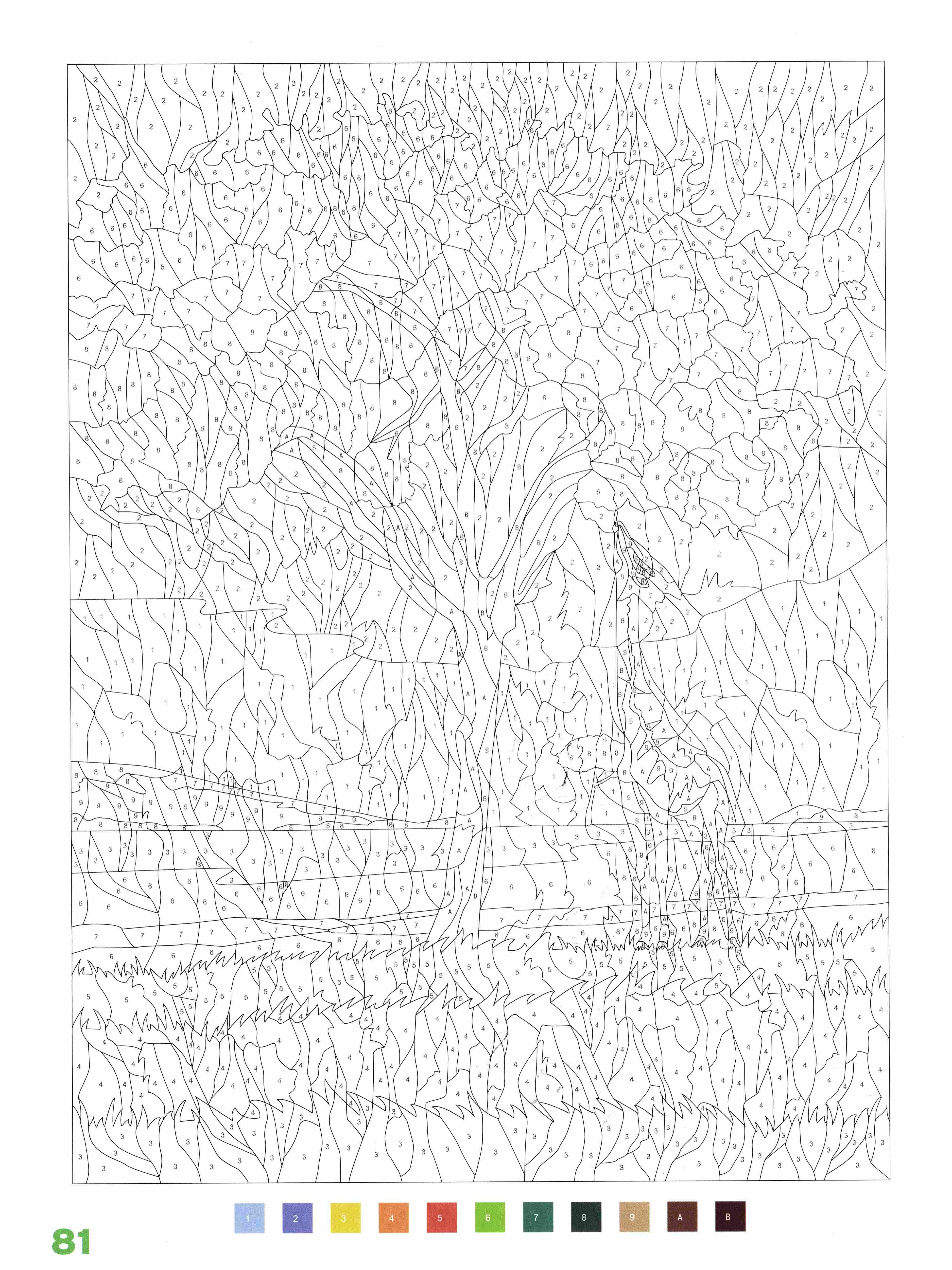 Раскраска Природа по номерам 81