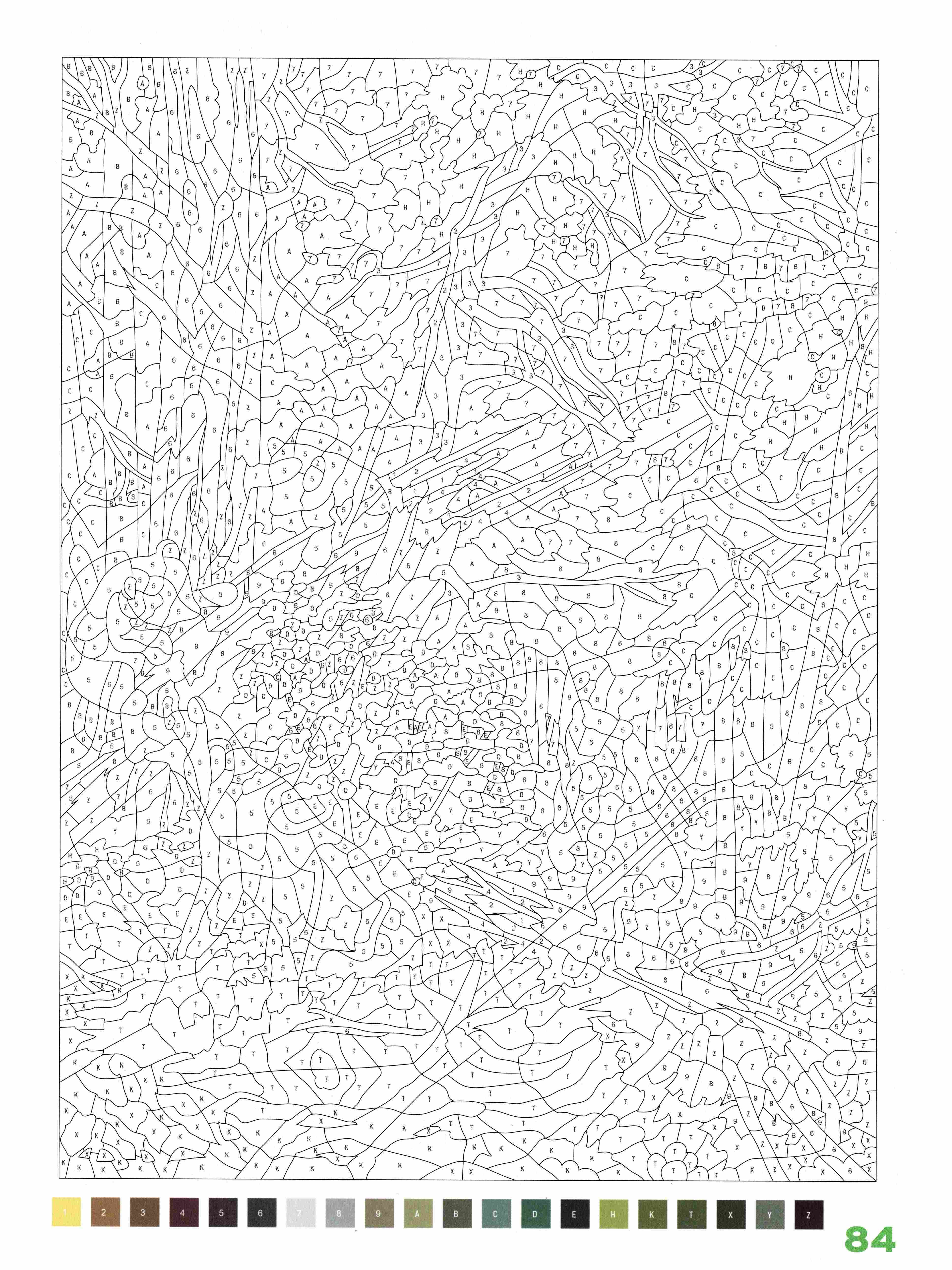 Раскраска Природа по номерам 84