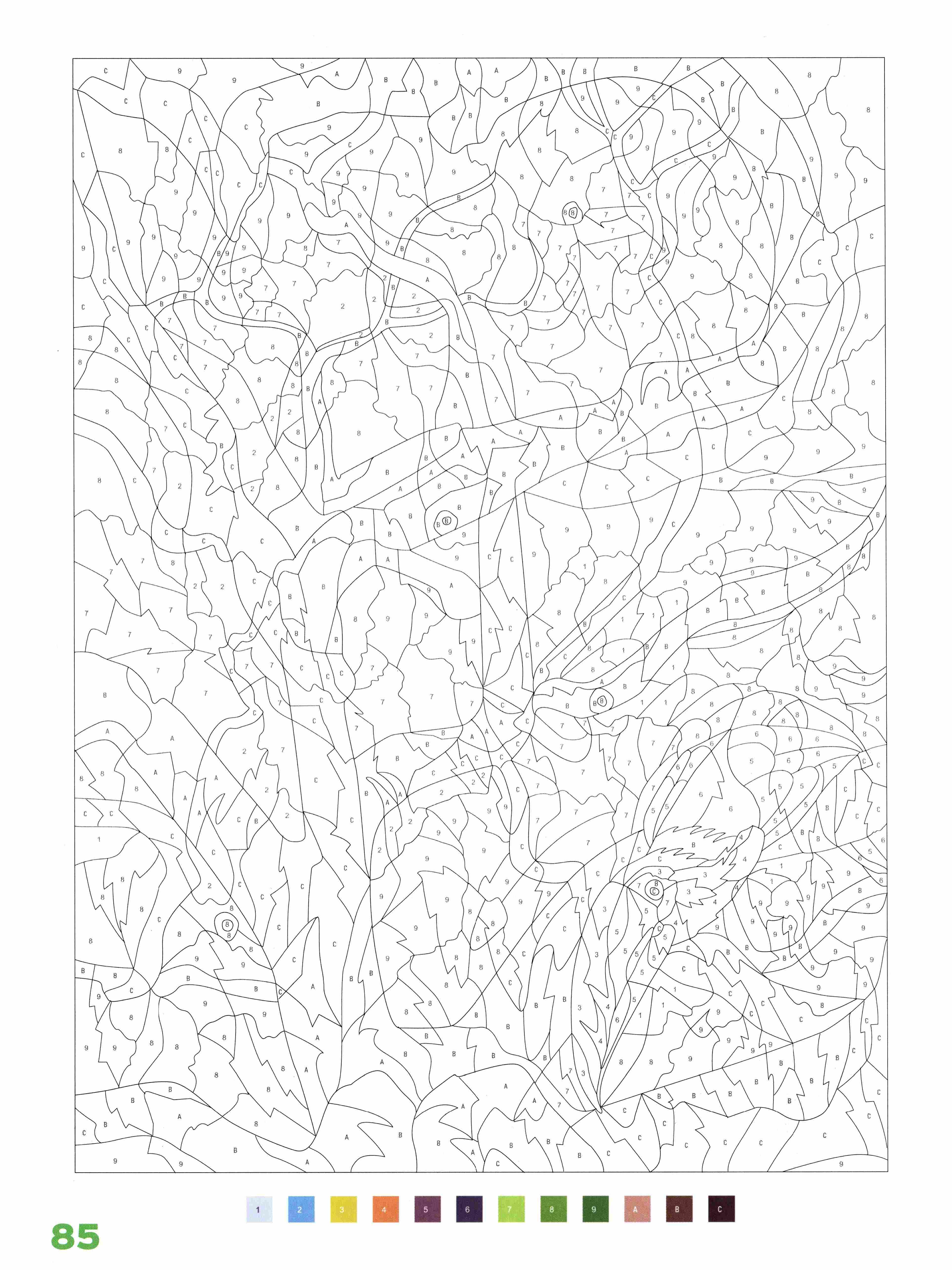 Раскраска Природа по номерам 85