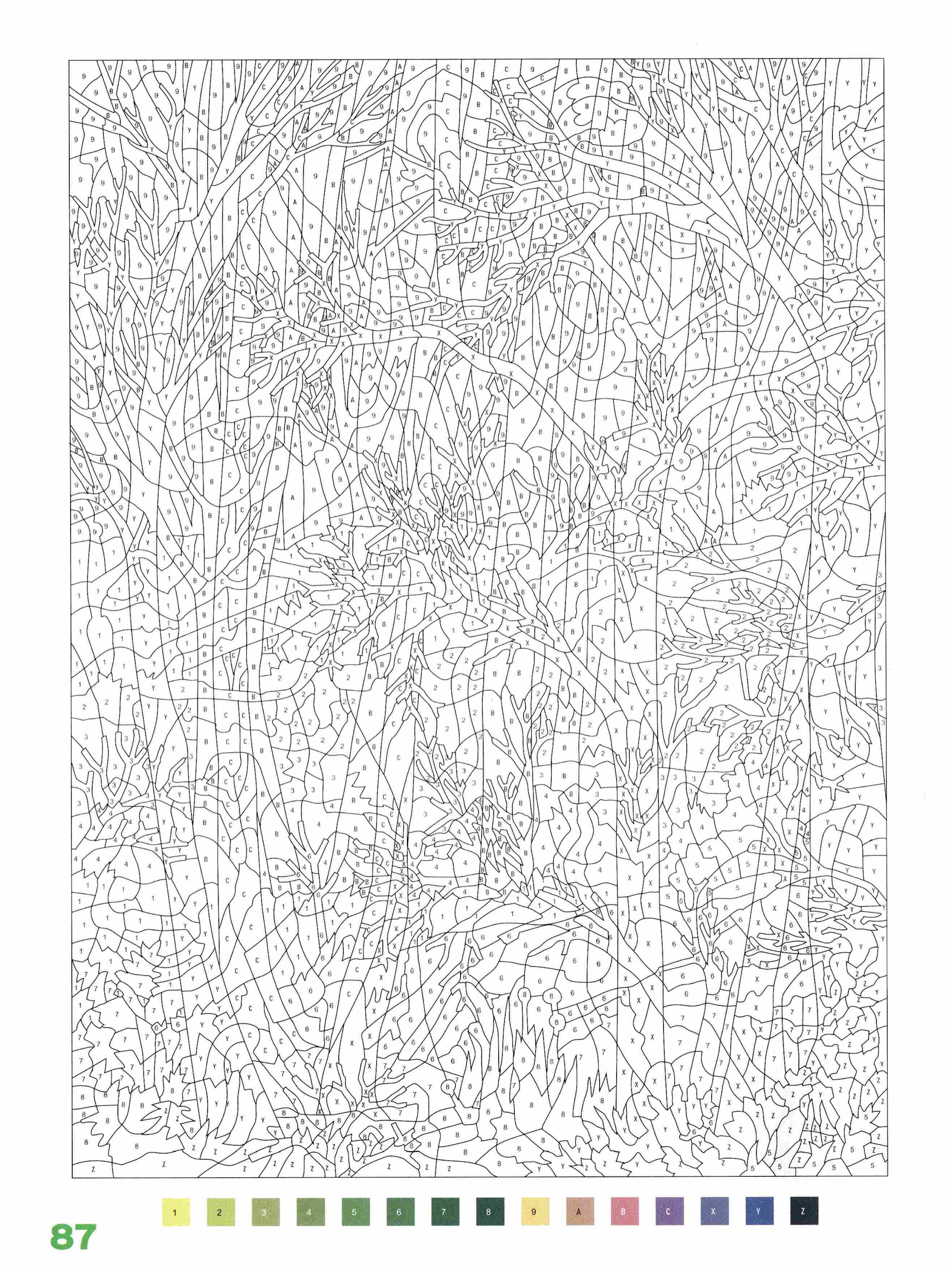 Раскраска Природа по номерам 87