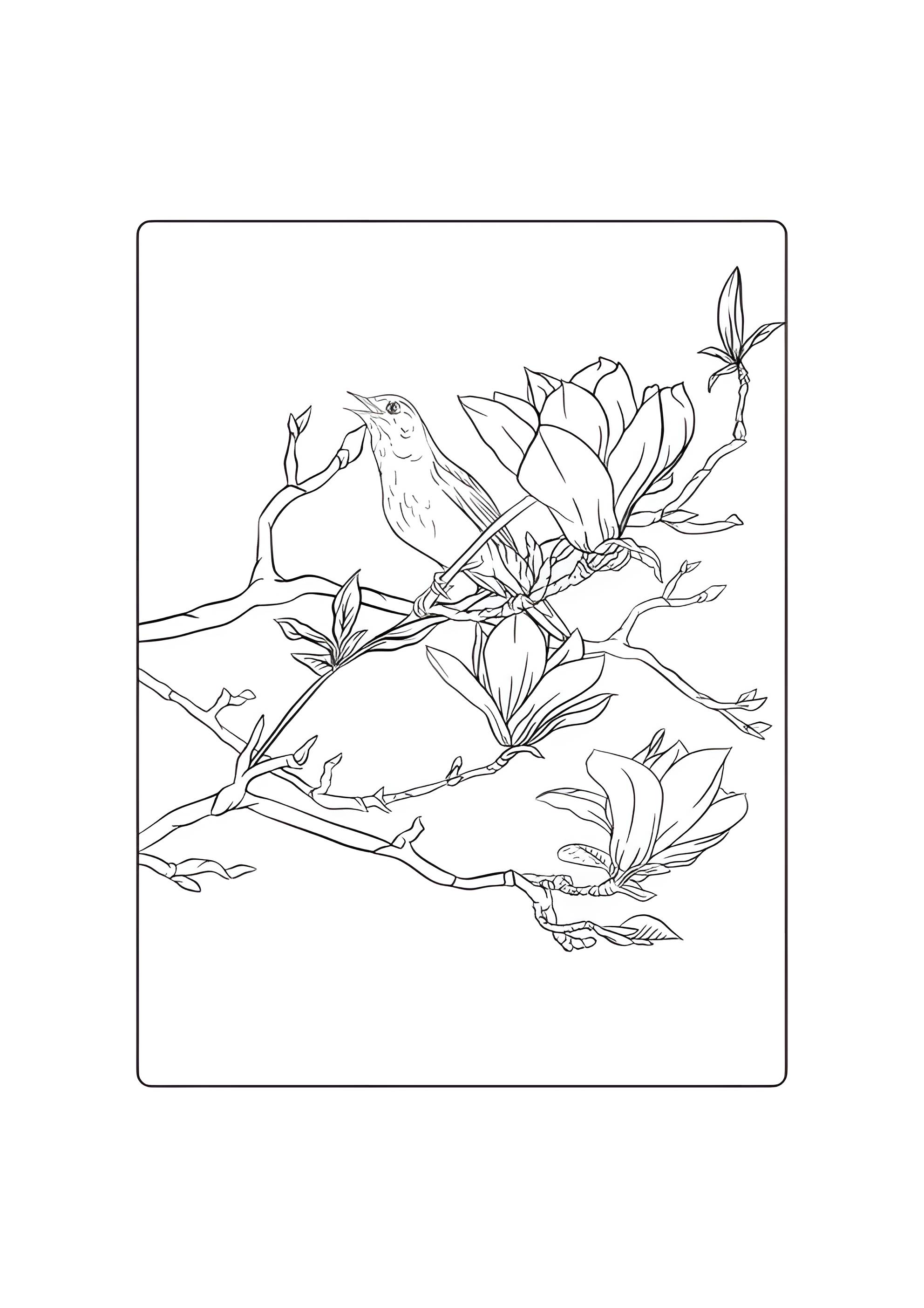 Раскраска Соловушка весной