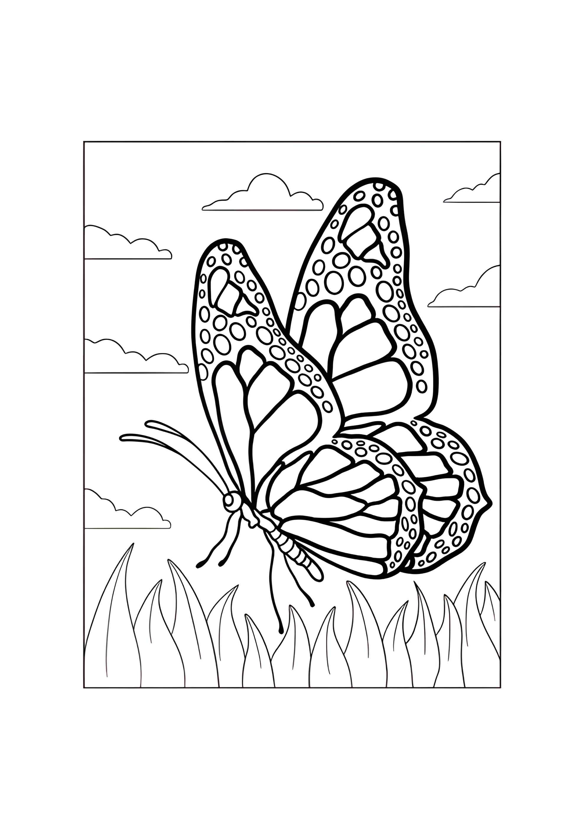 Раскраска Бабочка-монарх