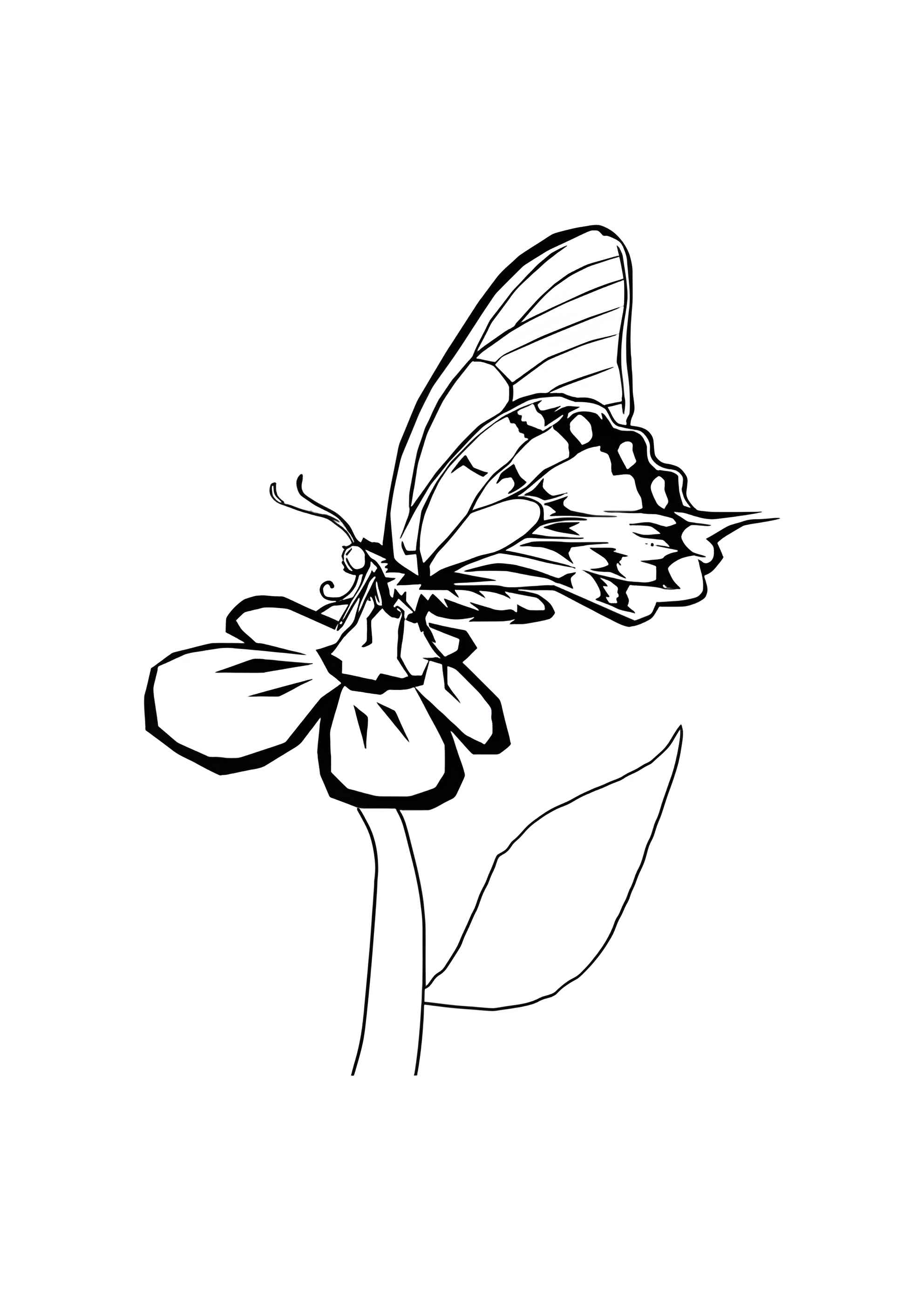 Раскраска Бабочка на ромашке