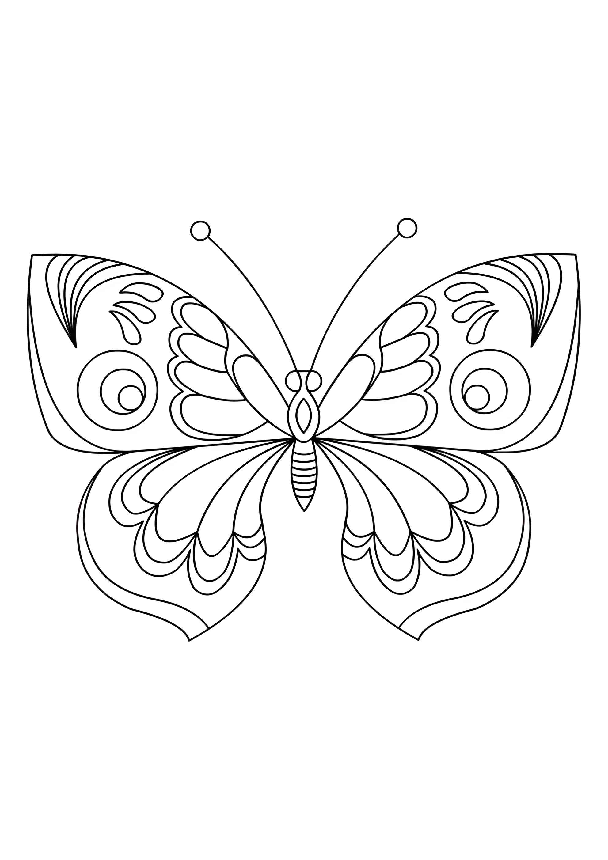 Раскраска Бабочка с большими крыльями