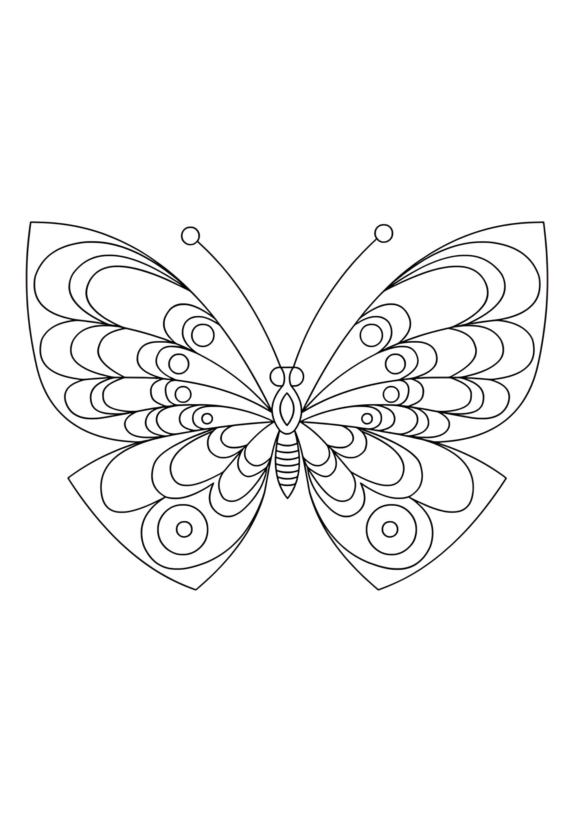 Раскраска Бабочка с изумительным рисунком