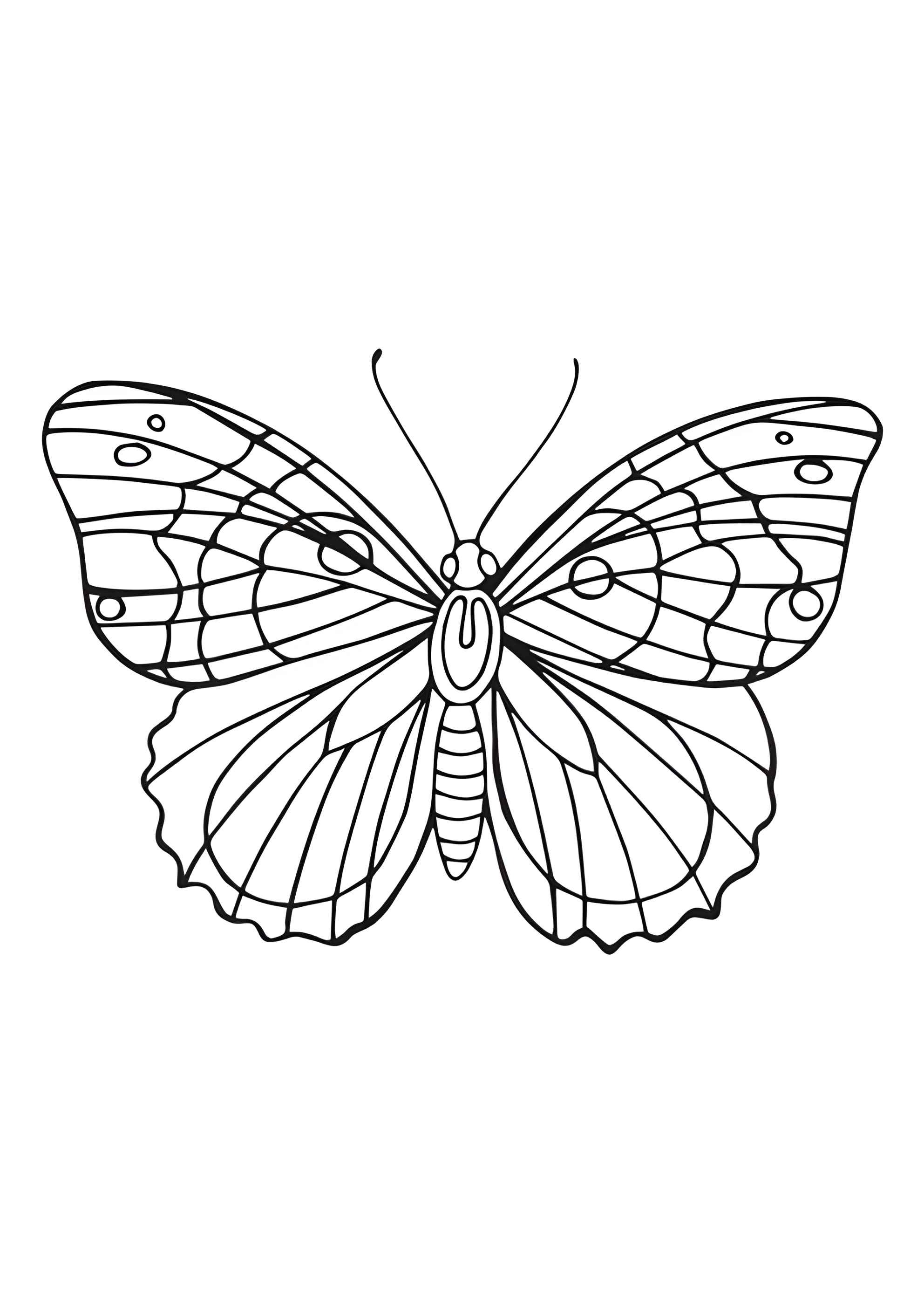 Раскраска Бабочка с рисунками