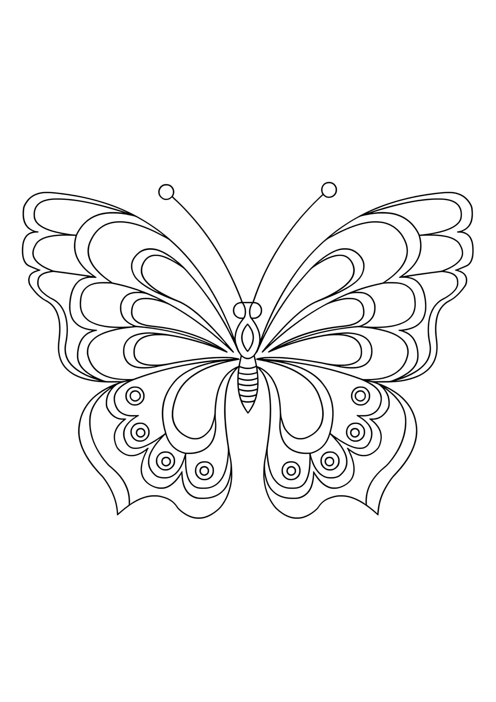 Раскраска Бабочка с волнистой раскраской