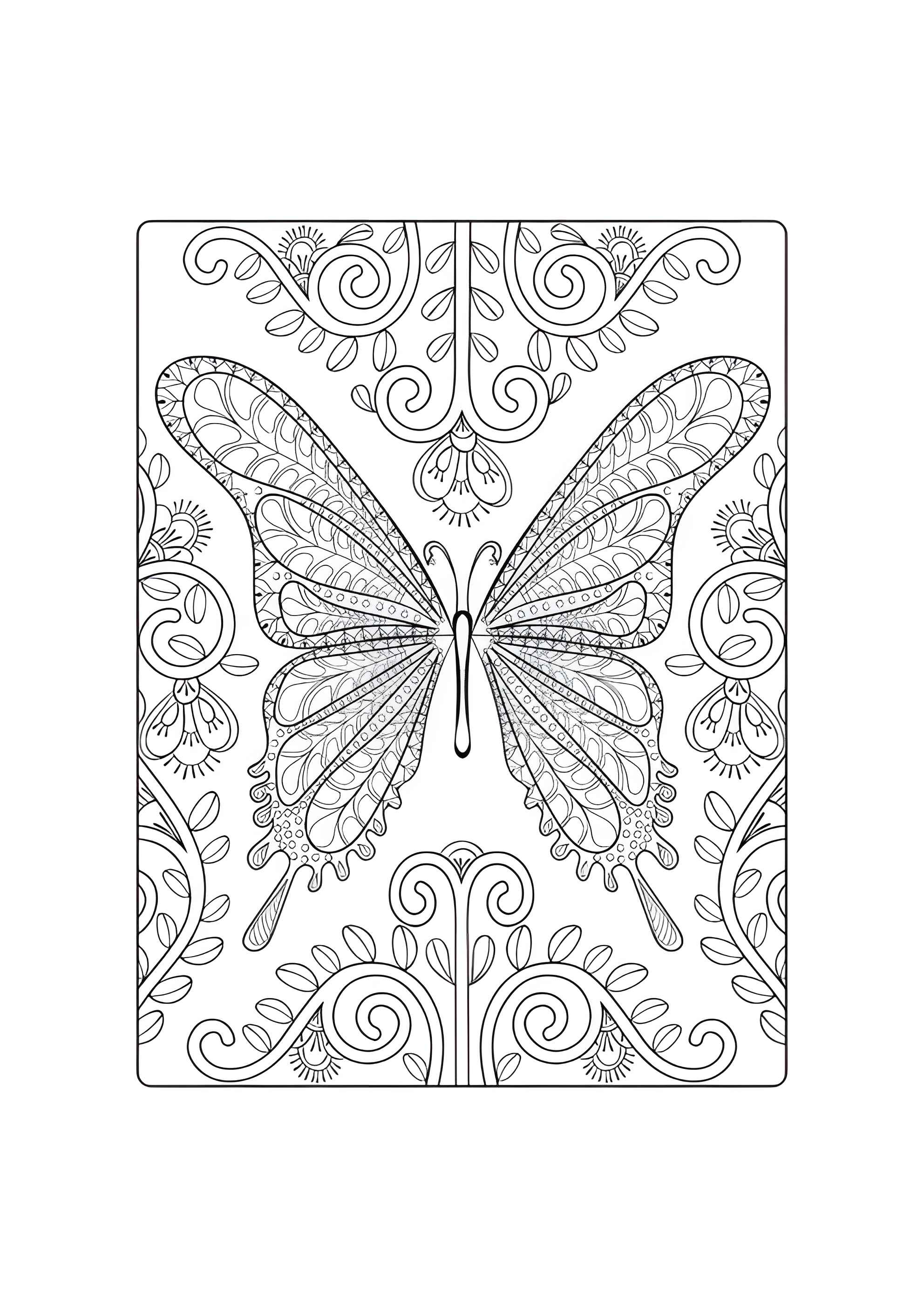 Раскраска Бабочка сложная и красивая