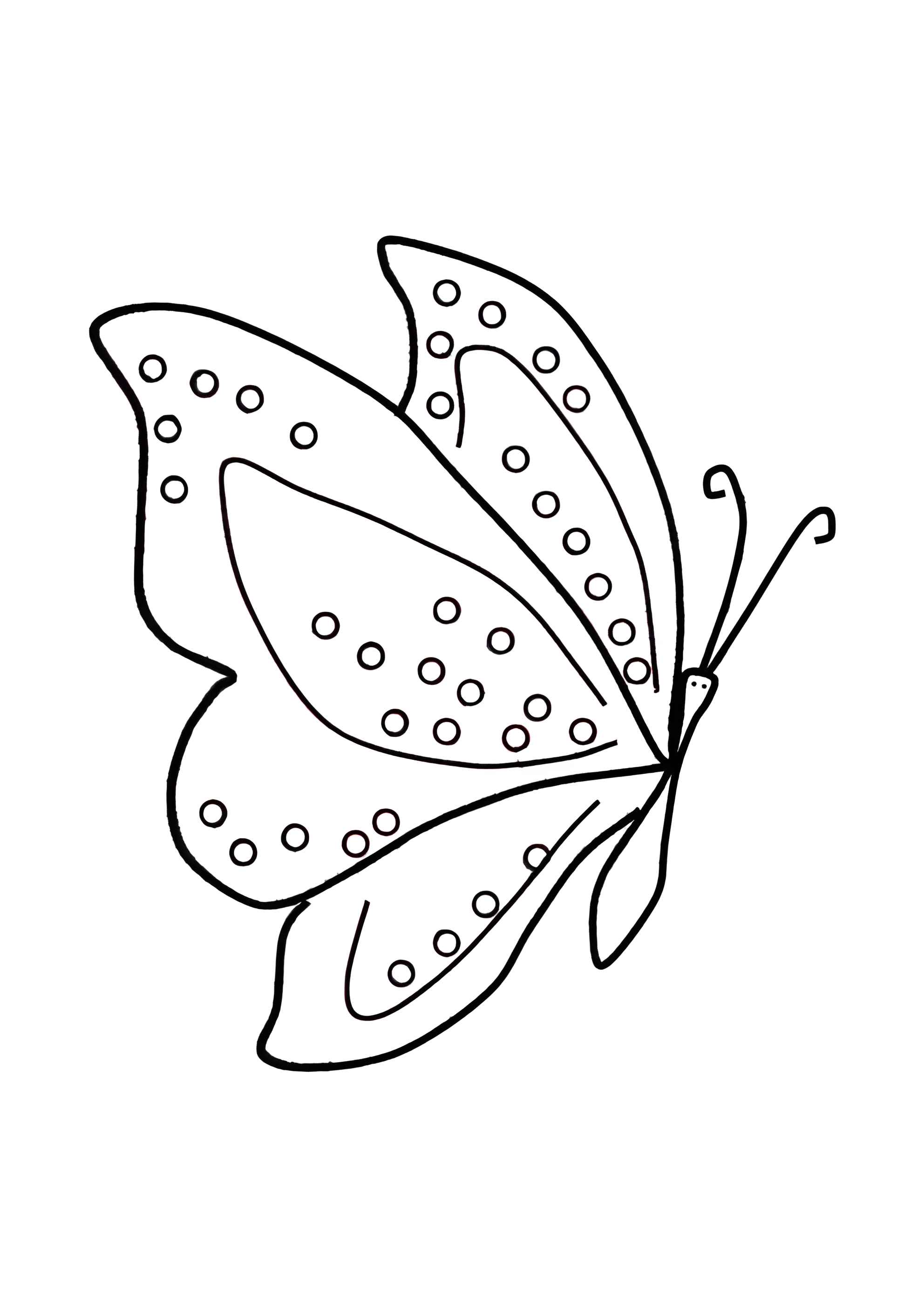 Раскраска Бабочка в горошинку
