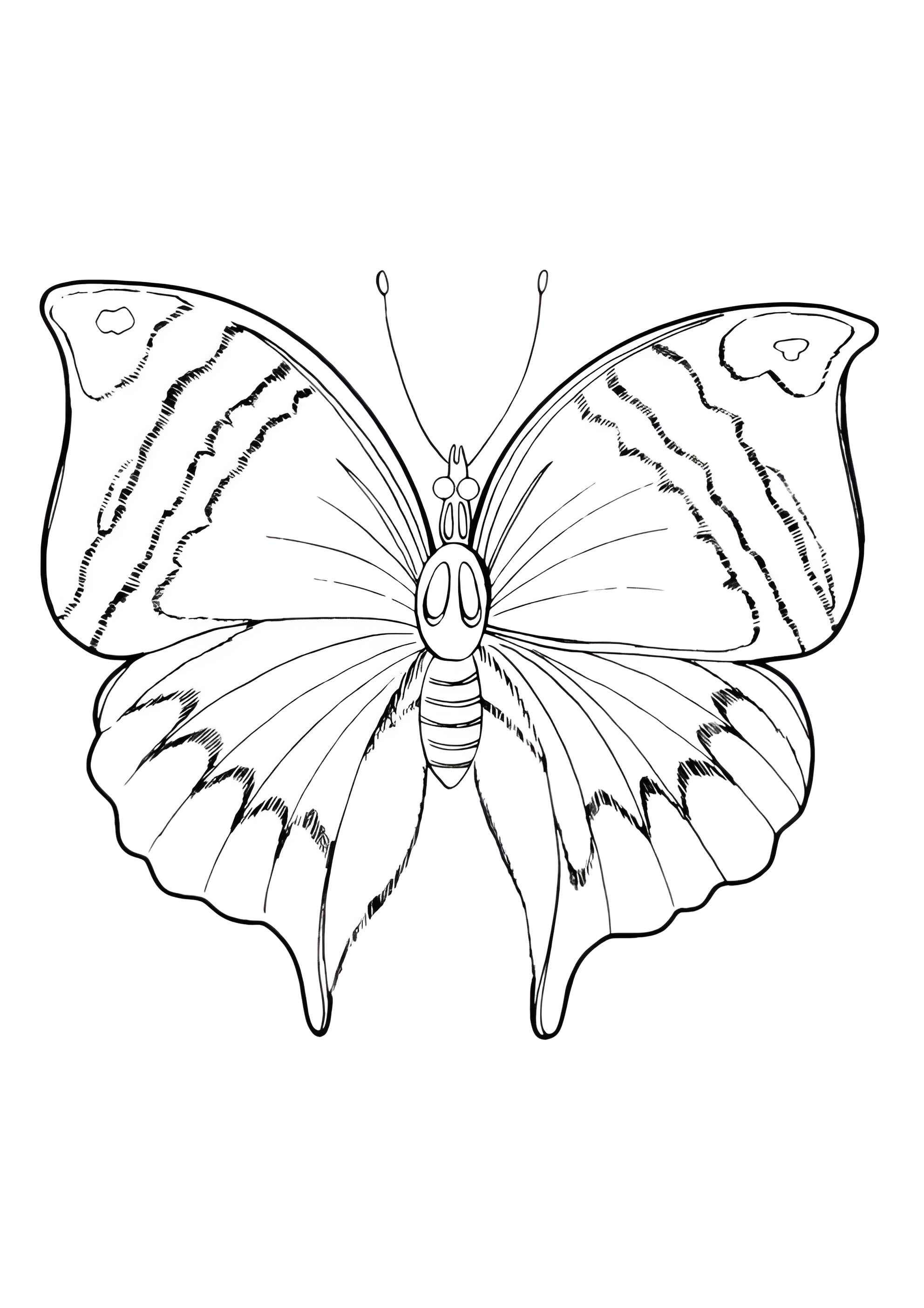 Раскраска Бабочка в поисках еды