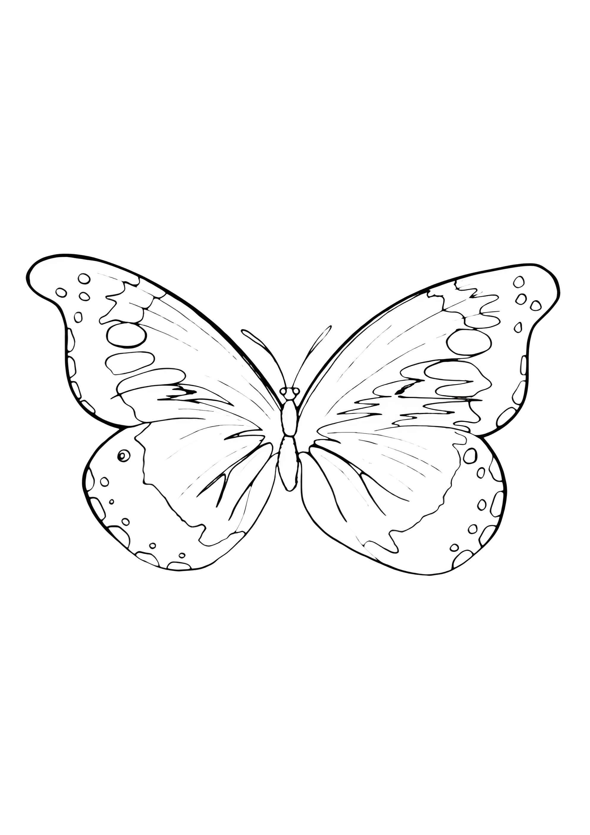 Раскраска Бабочка в полосочку