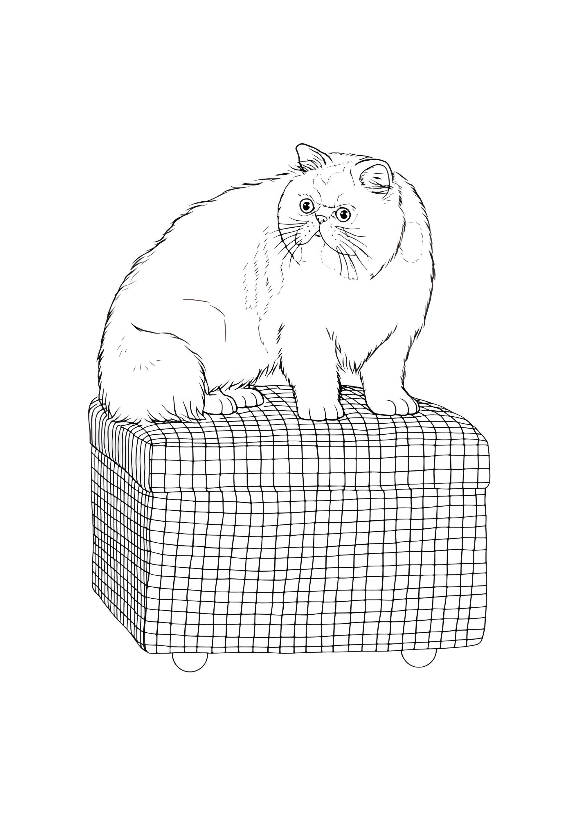 Раскраска Большой кот на пуфике