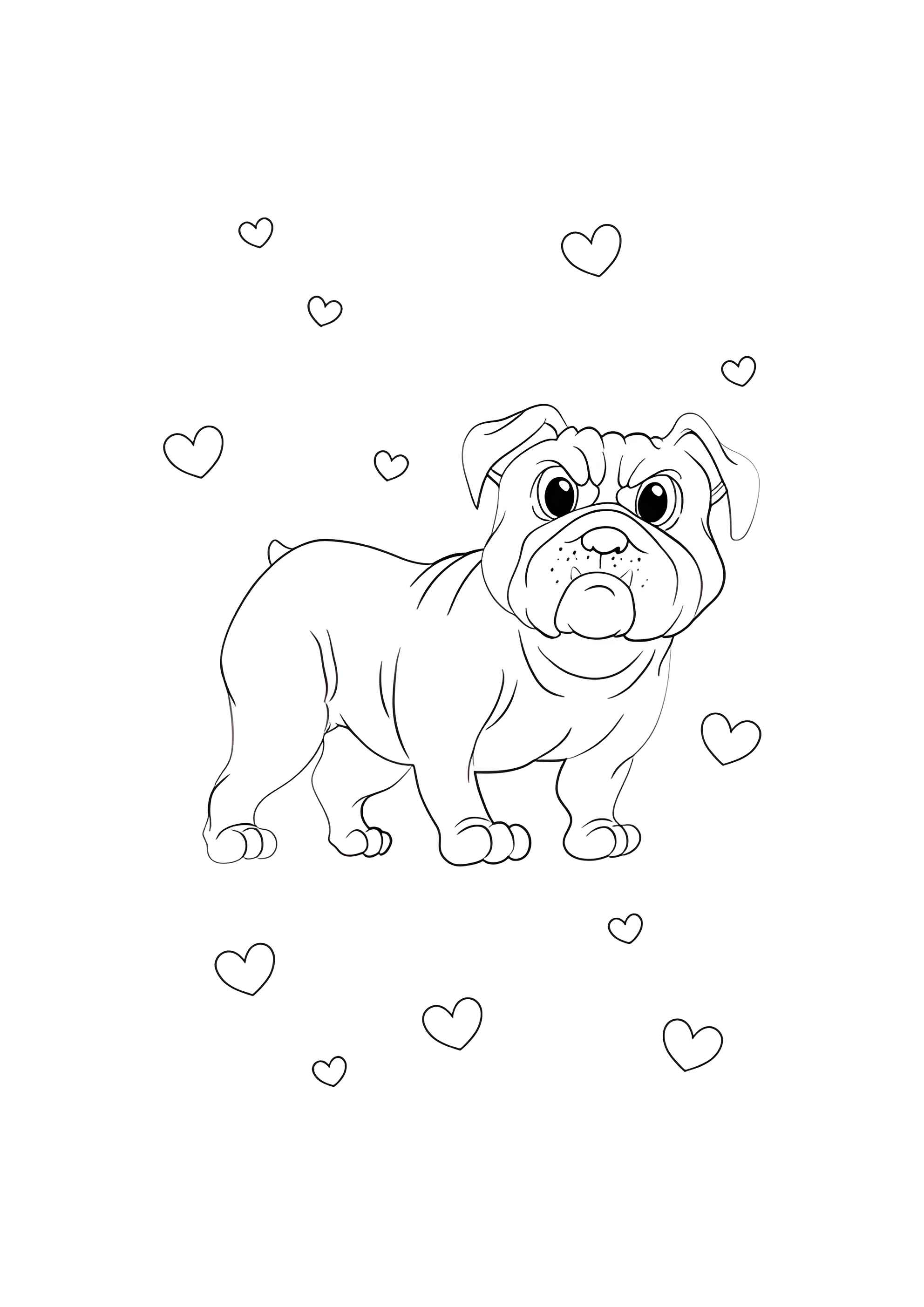 Раскраска Бульдог