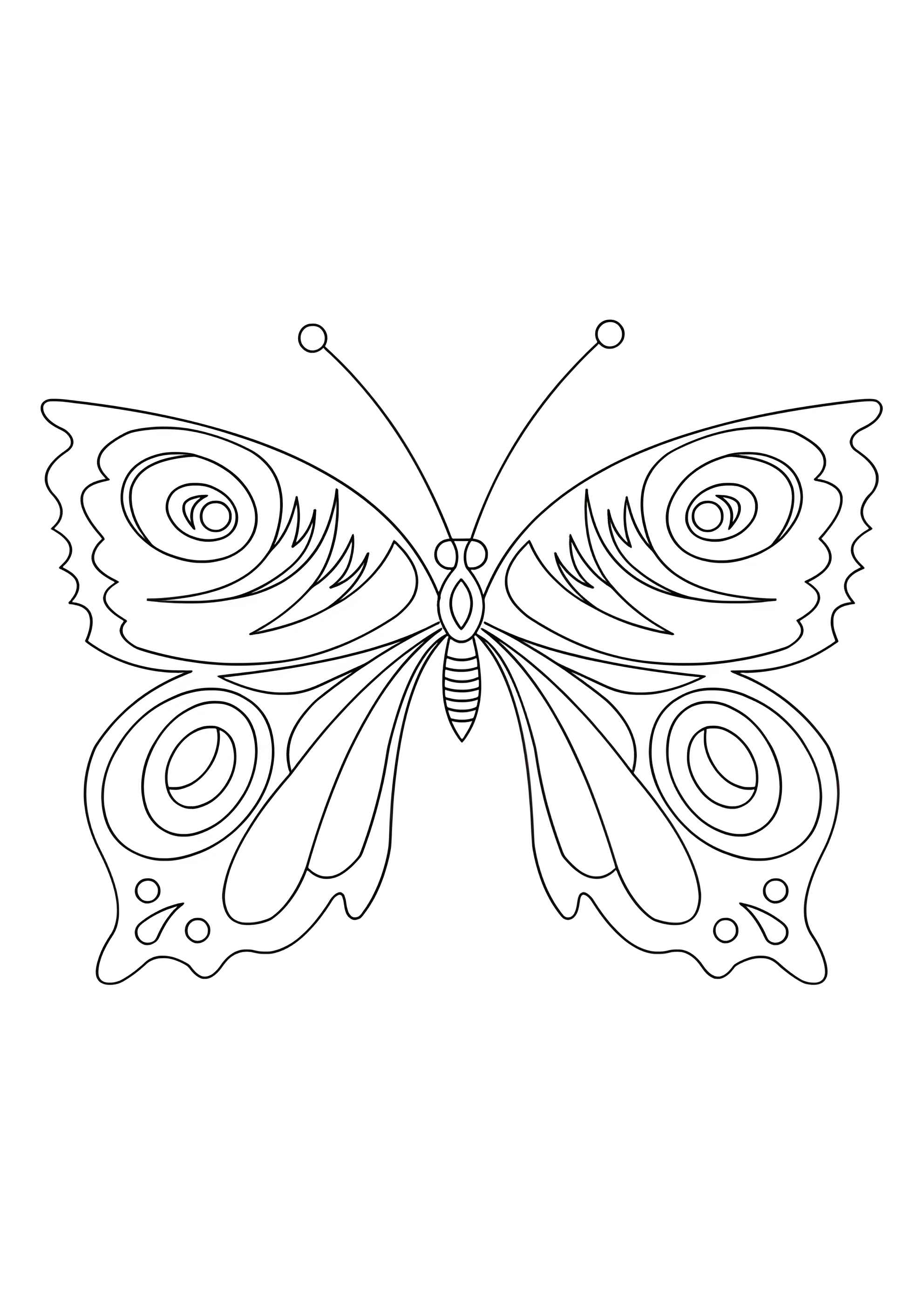 Раскраска Царская бабочка