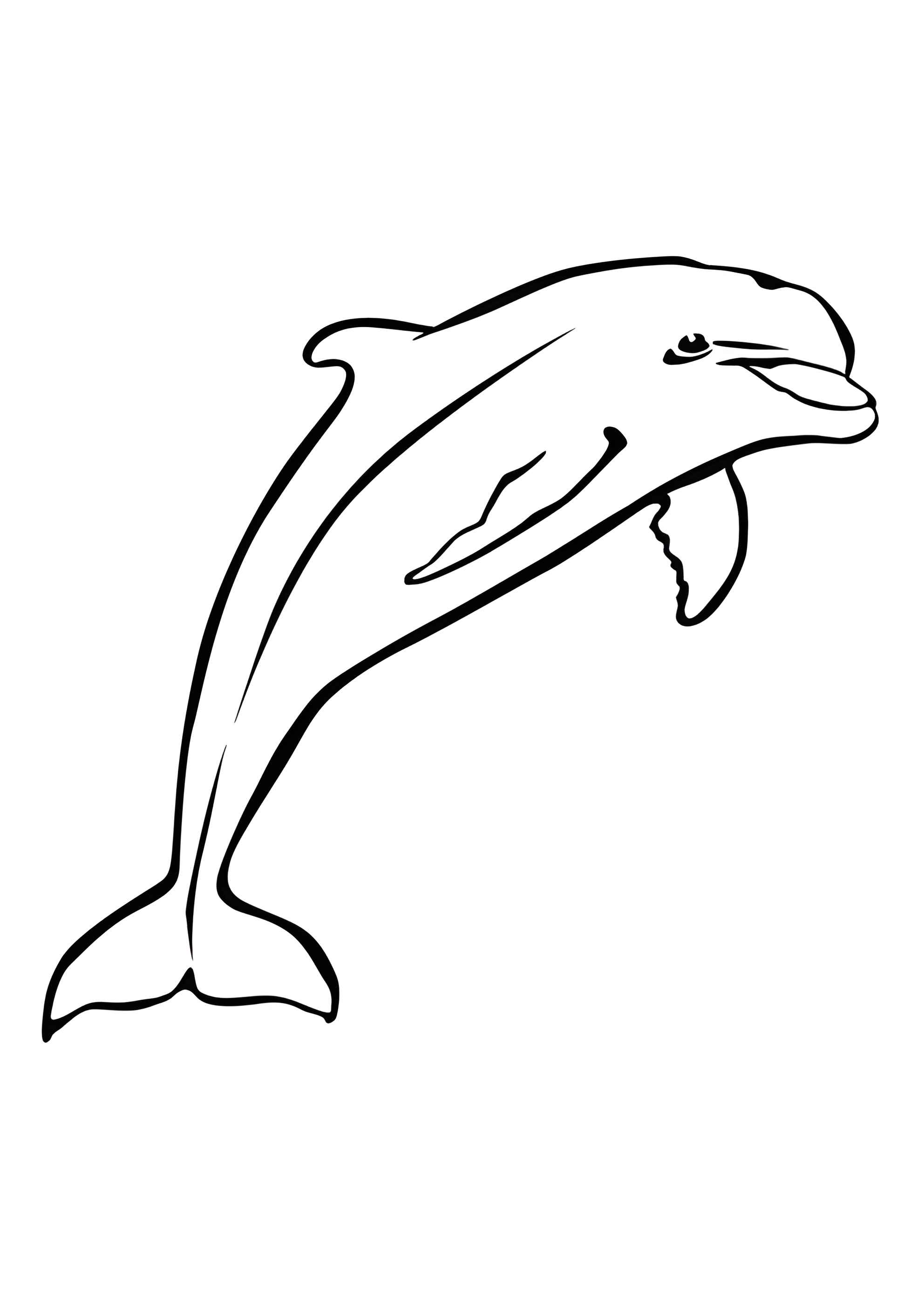 Раскраска Дельфин