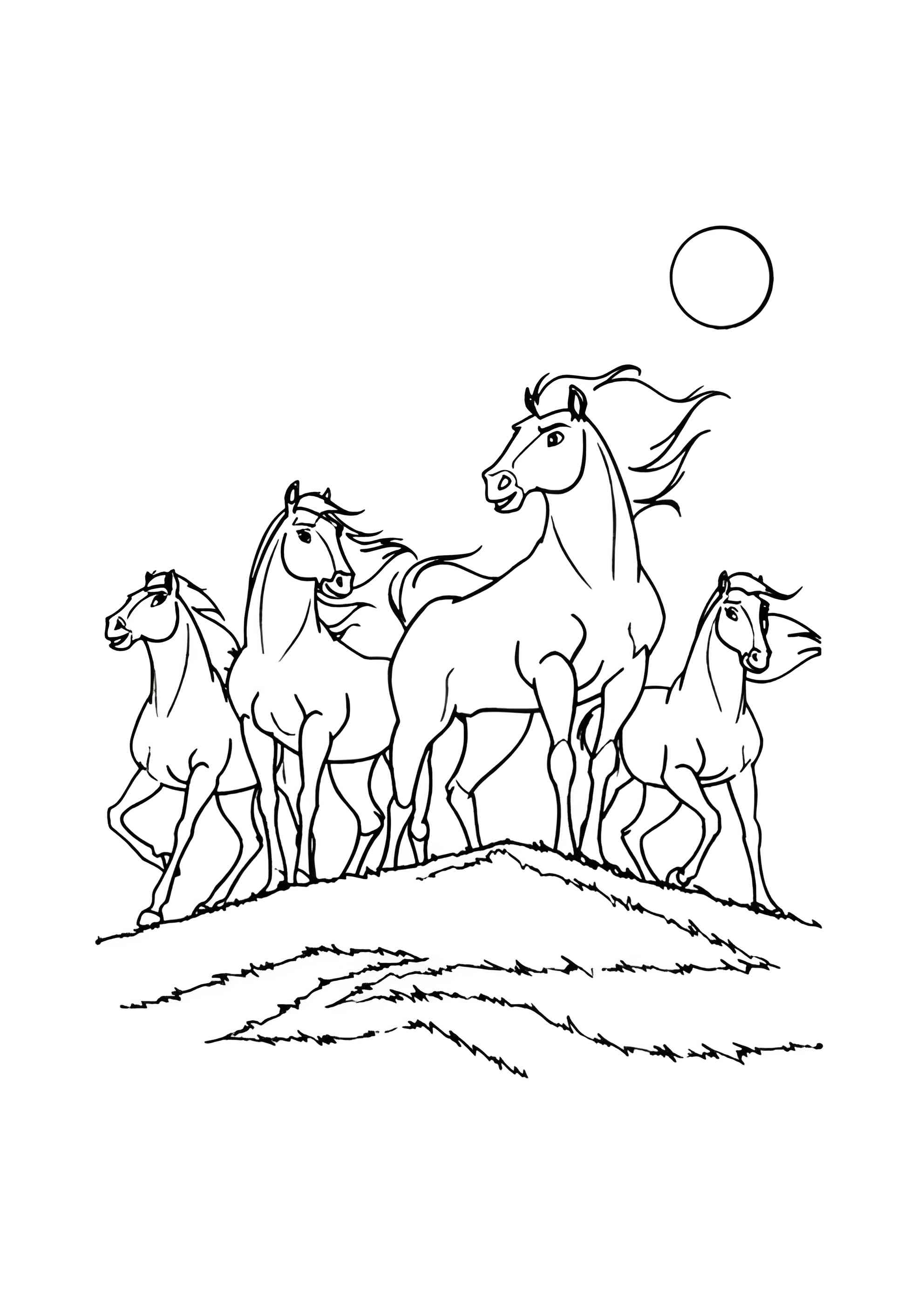 Раскраска Дикие кони