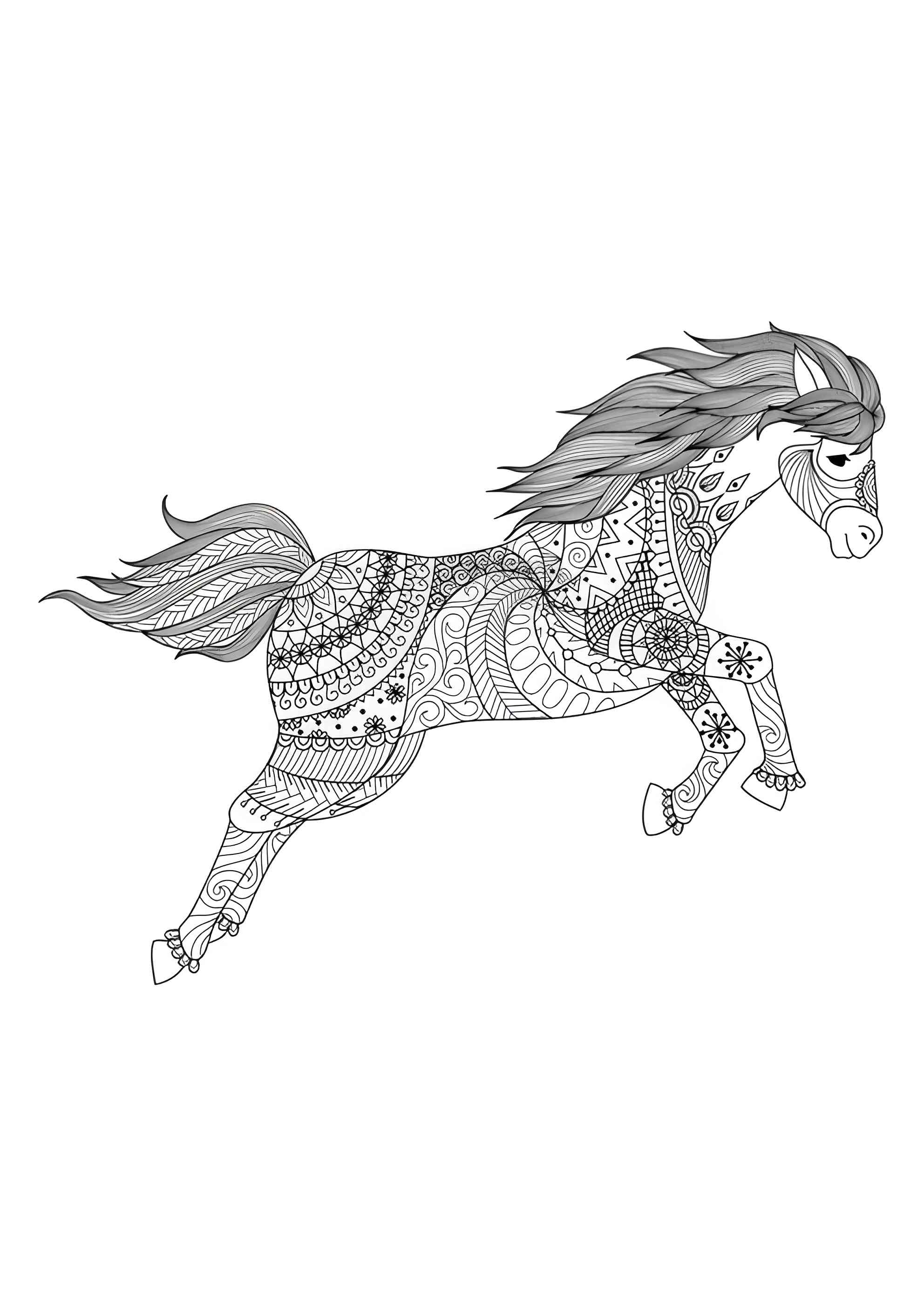 Раскраска Дикий скакун антистресс