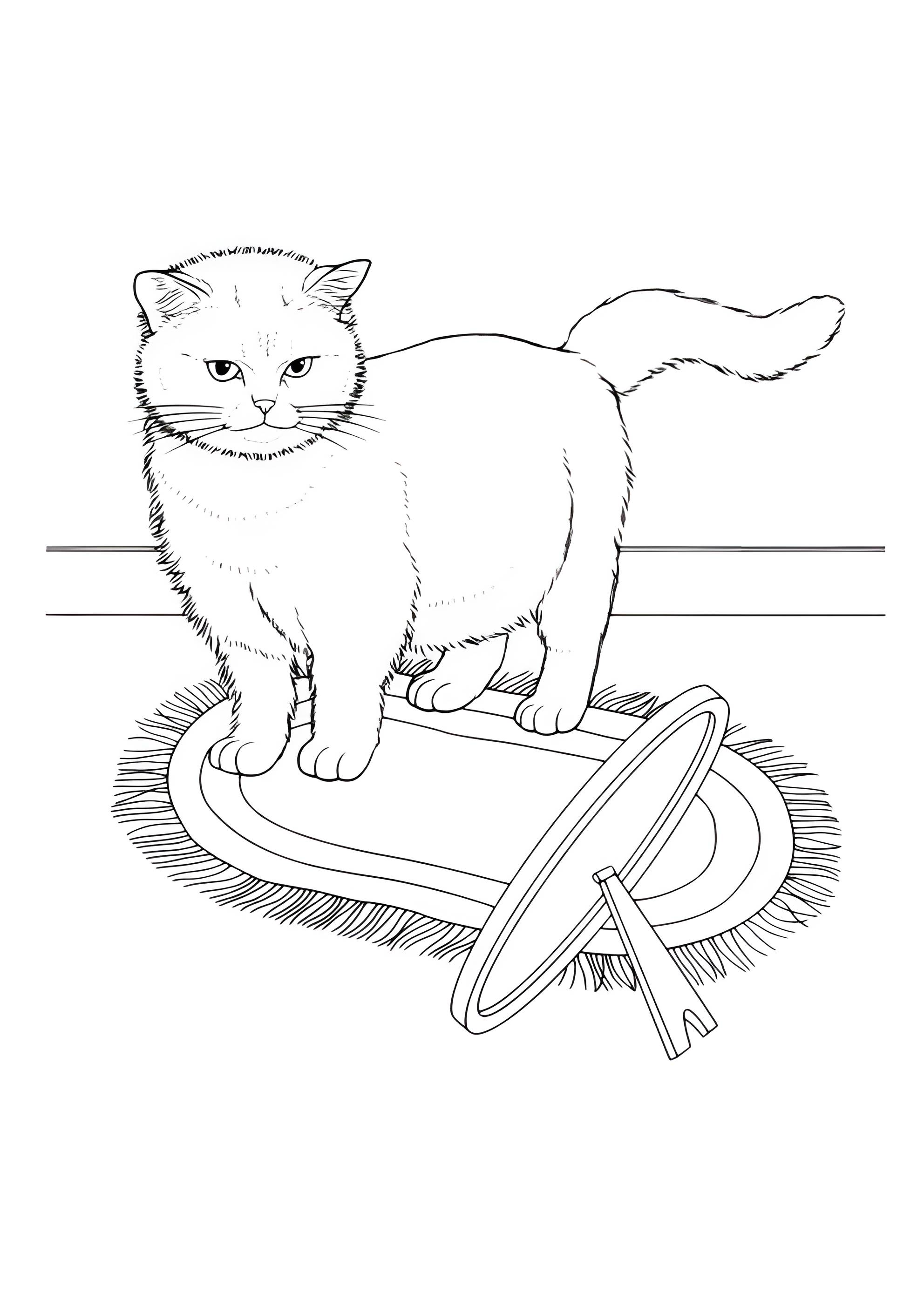 Раскраска Домашняя кошечка сидит на коврике