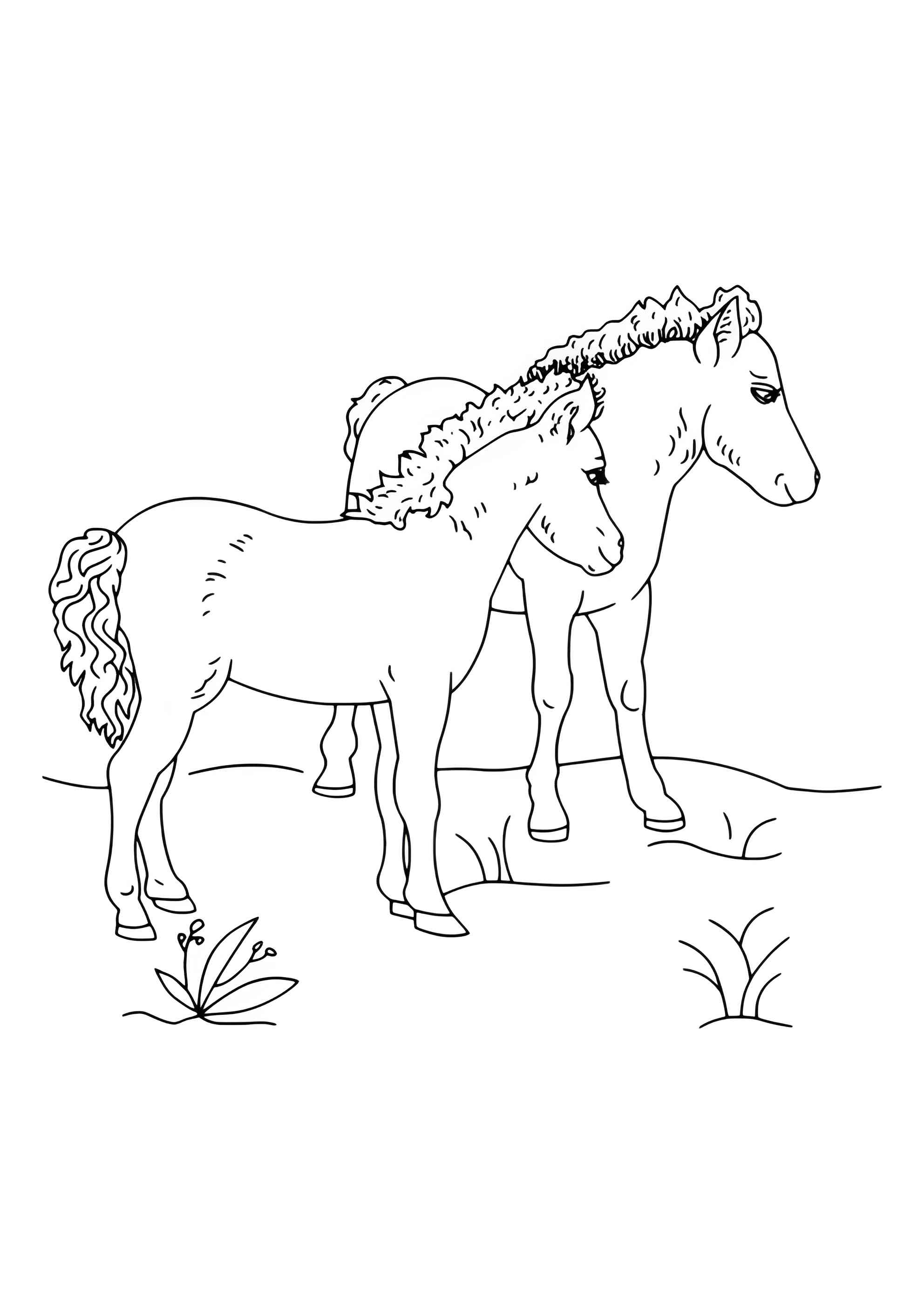 Раскраска Две лошадки гуляют