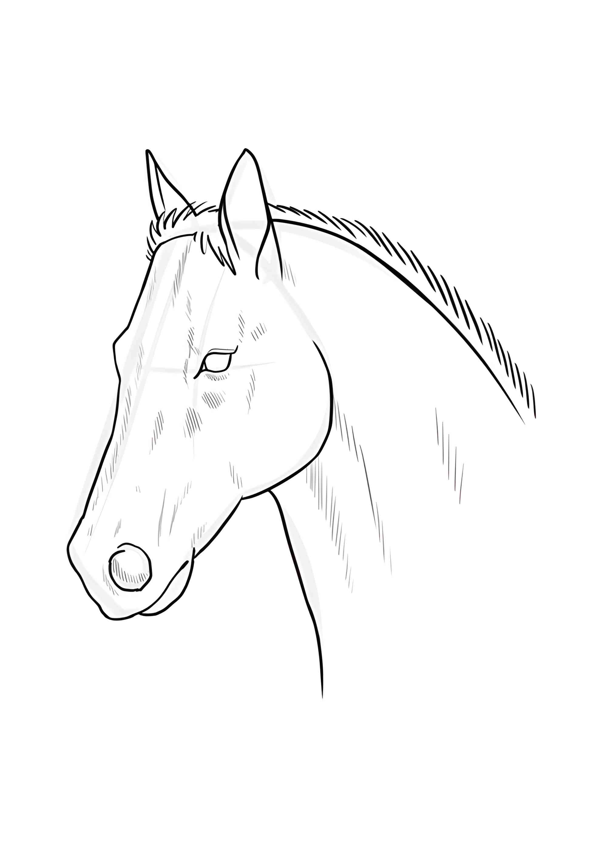 Раскраска Голова лошади для вышивки