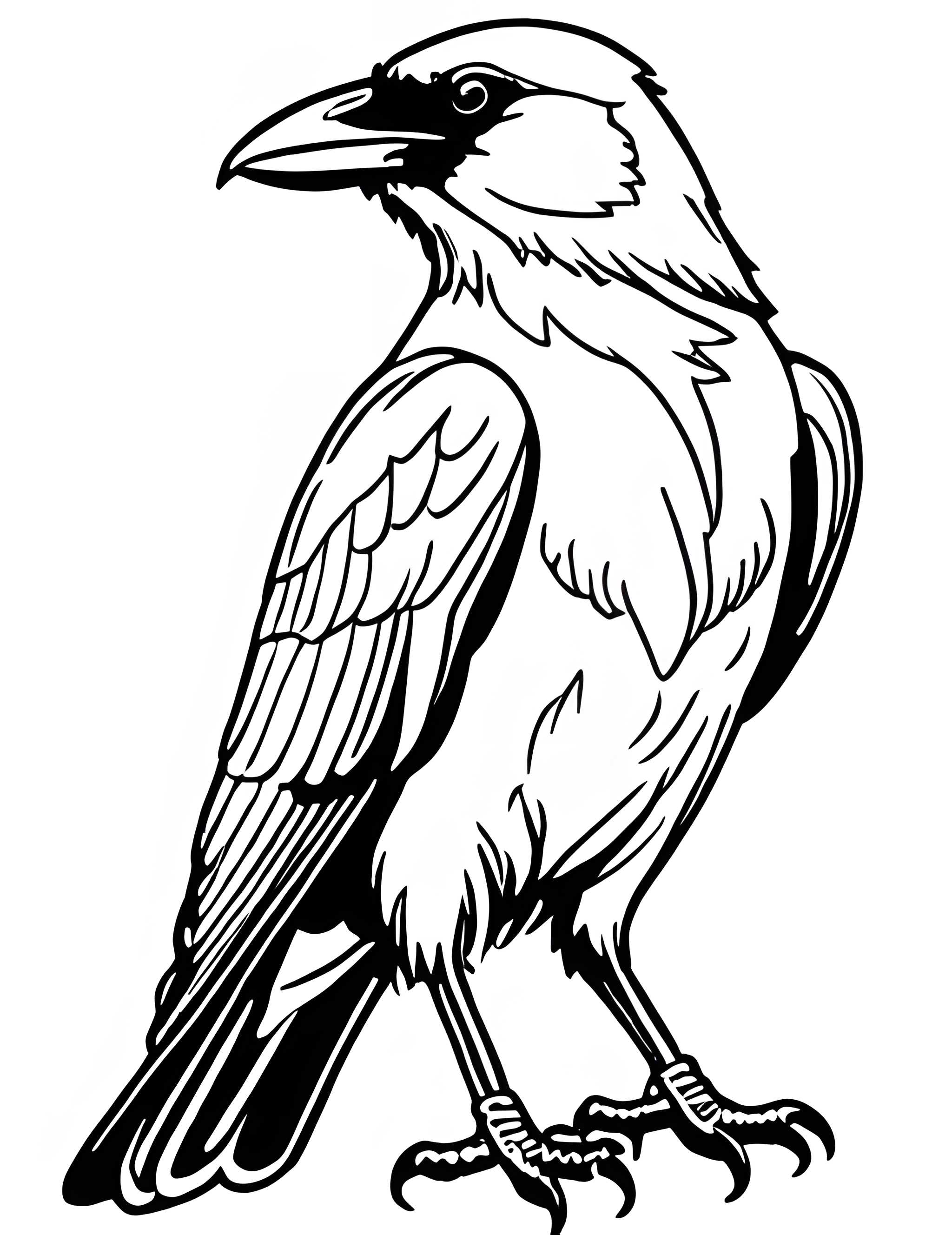 Раскраска Грач 2