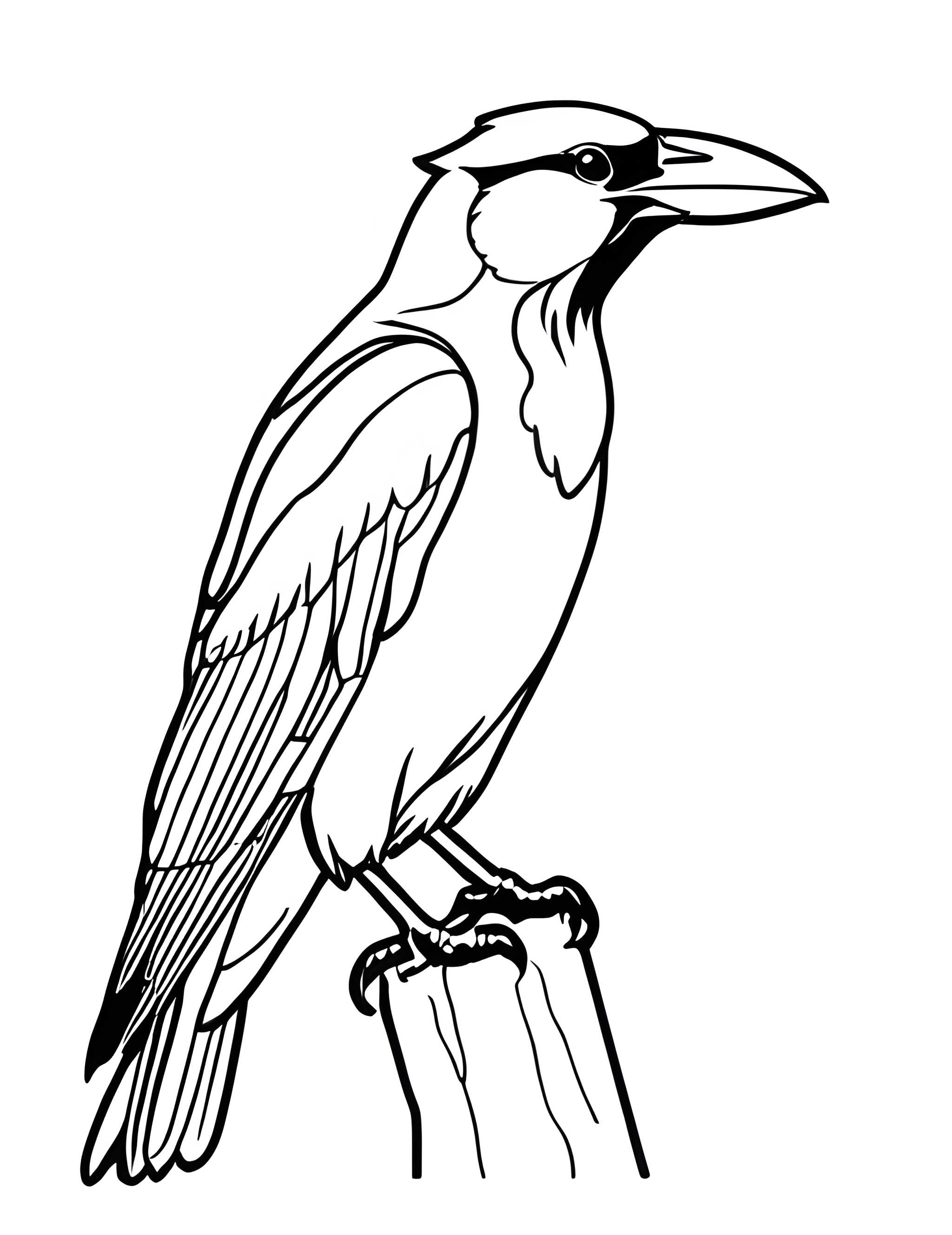 Раскраска Грач 23