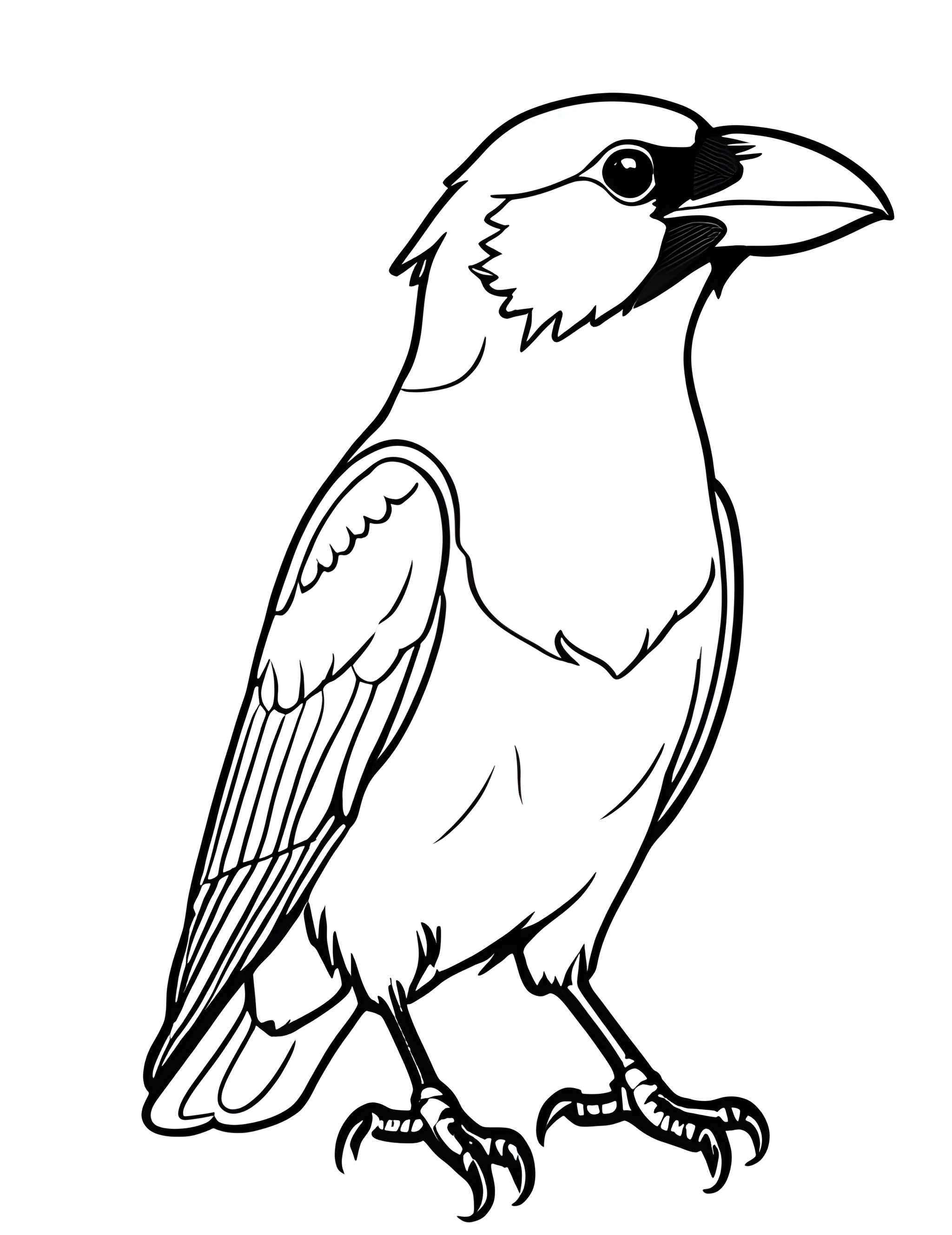 Раскраска Грач 29