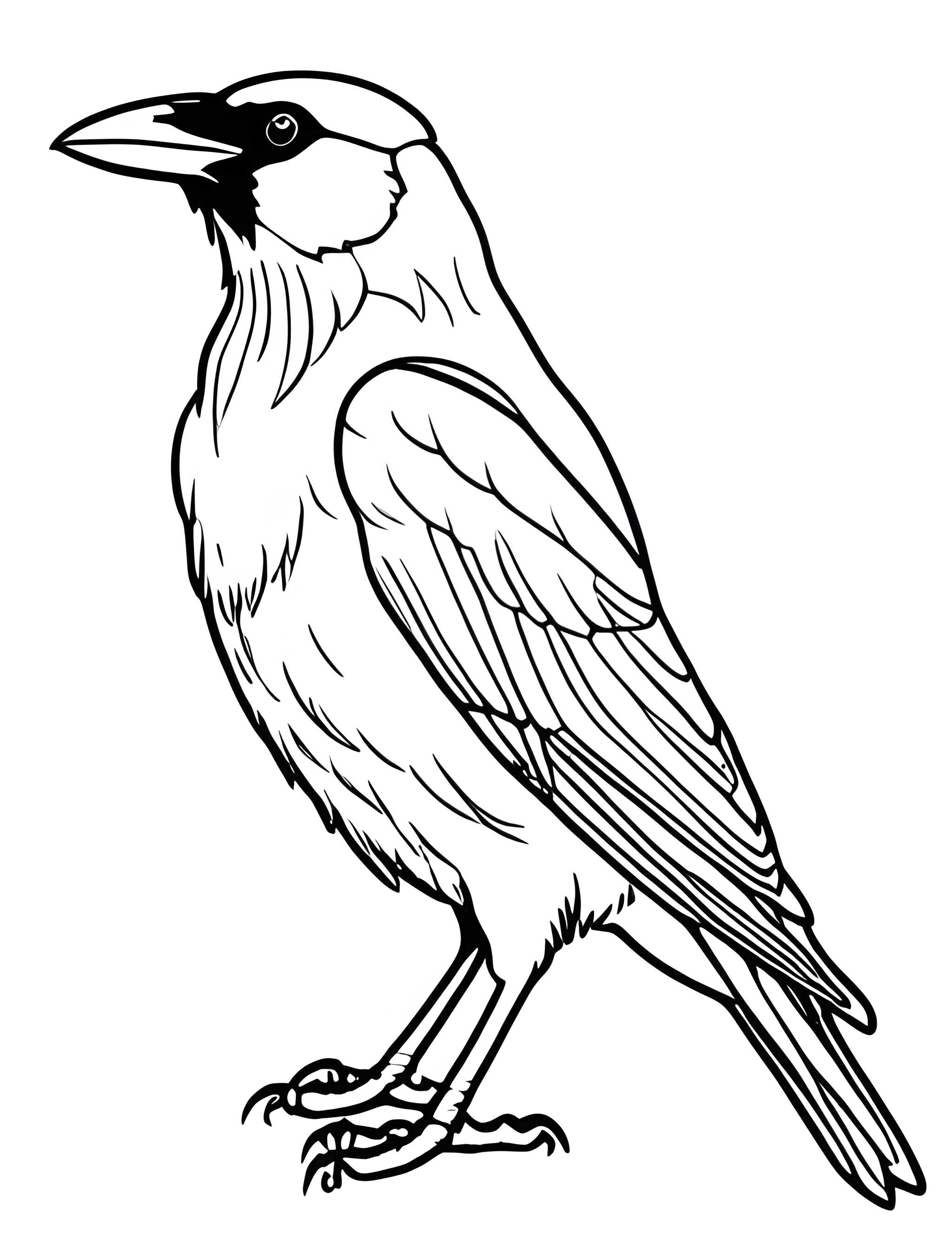 Раскраска Грач 32