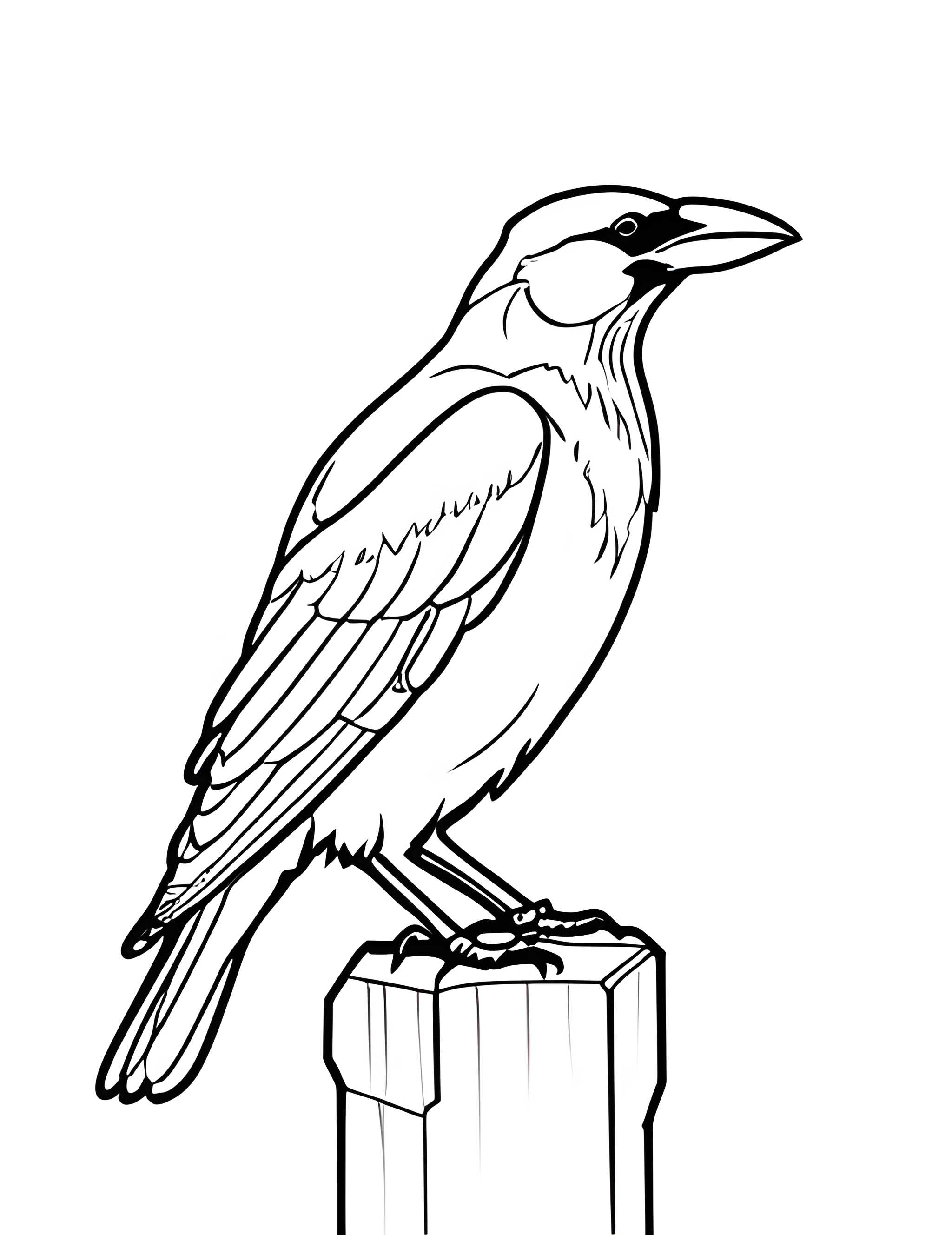 Раскраска Грач 44