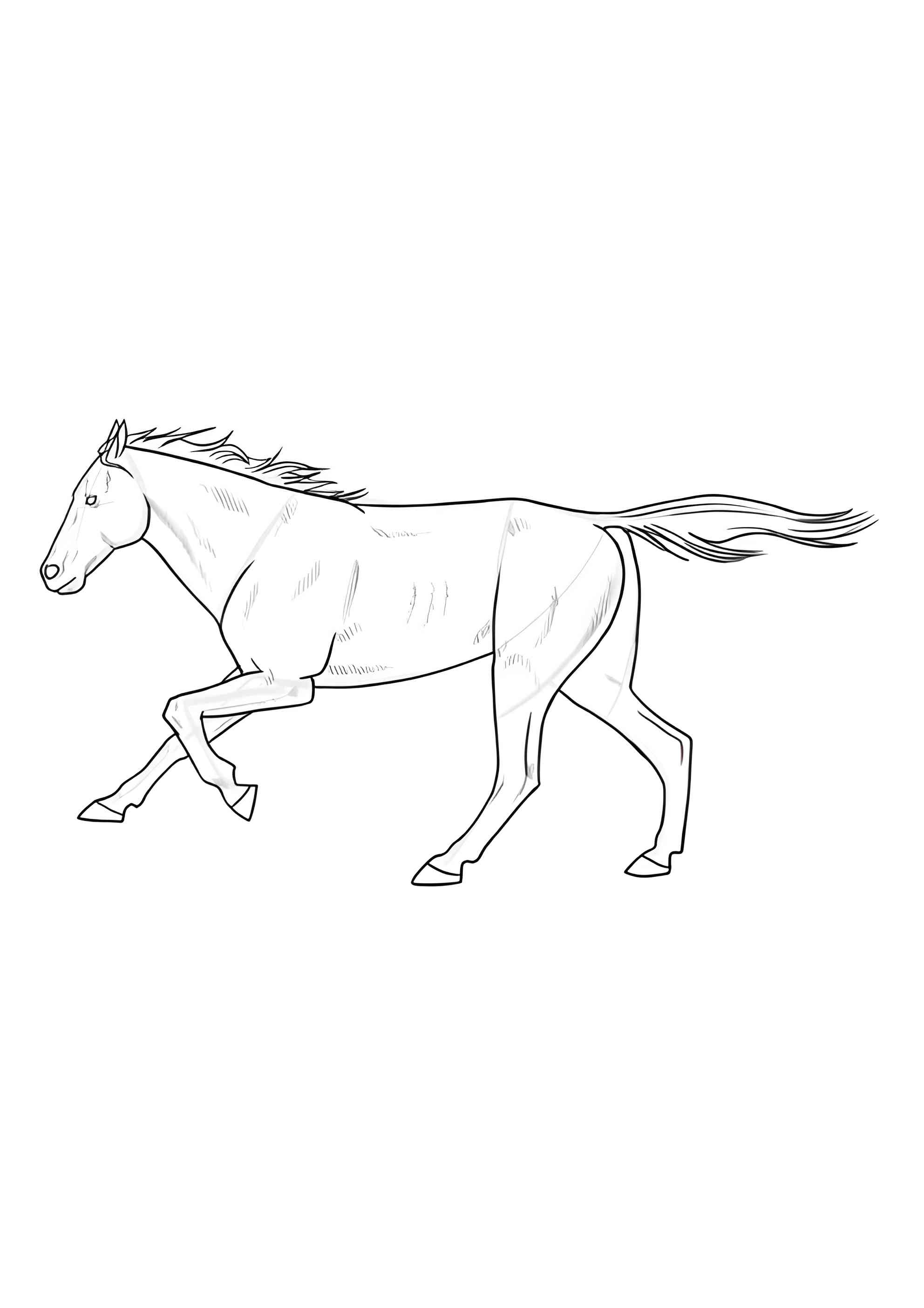 Раскраска Грациозная лошадь