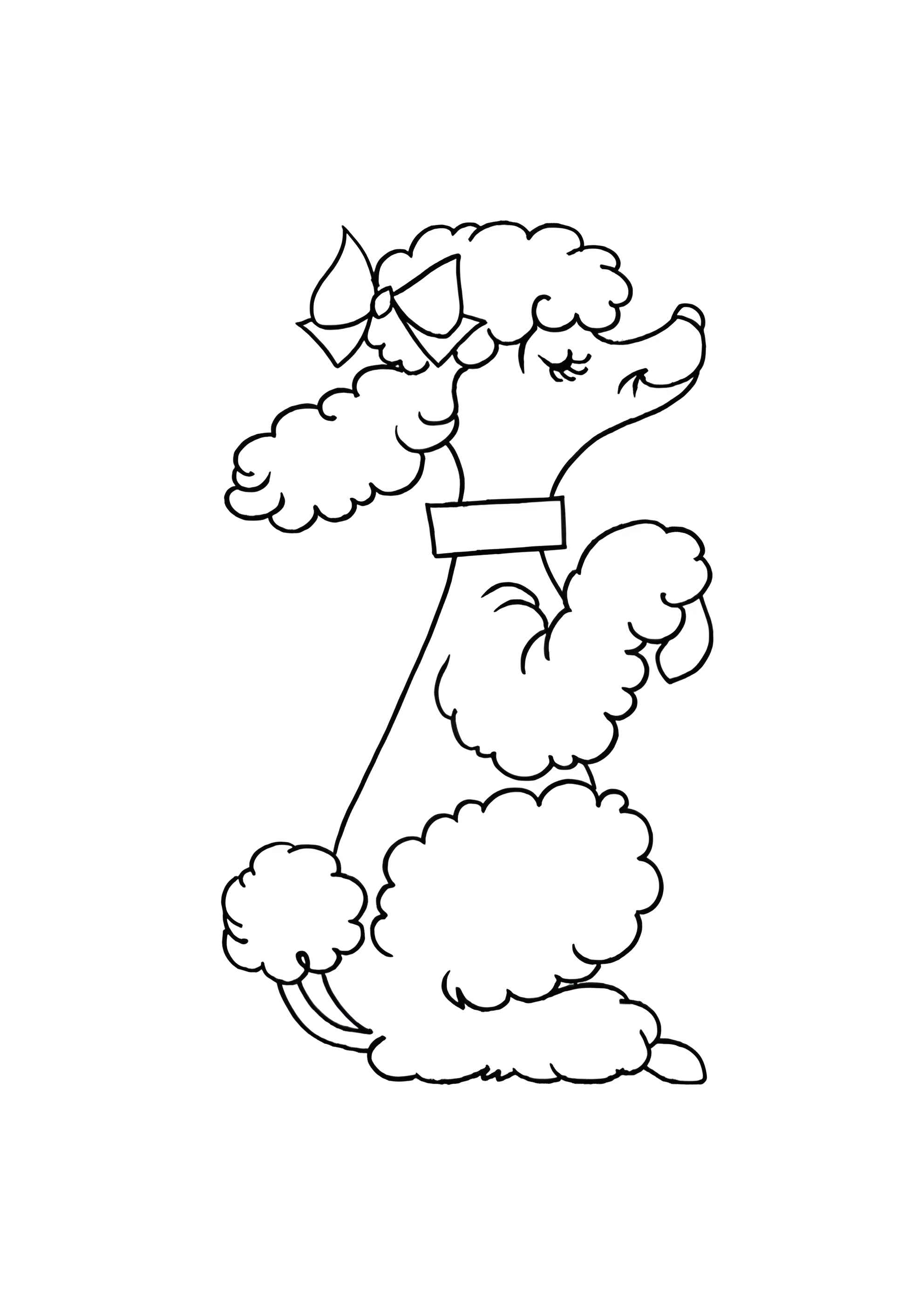 Раскраска Хитрый пудель