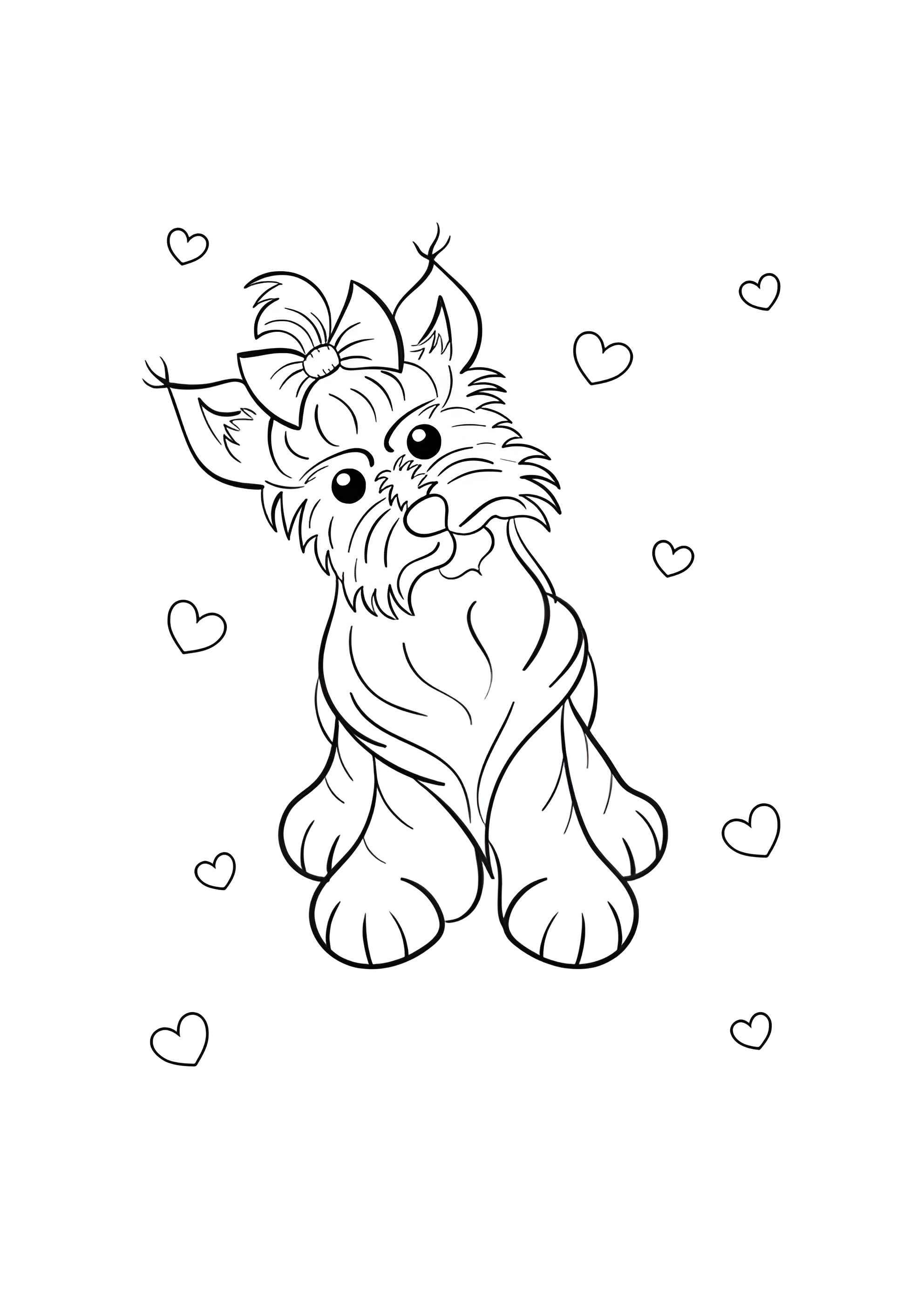 Раскраска Йоркширский терьер