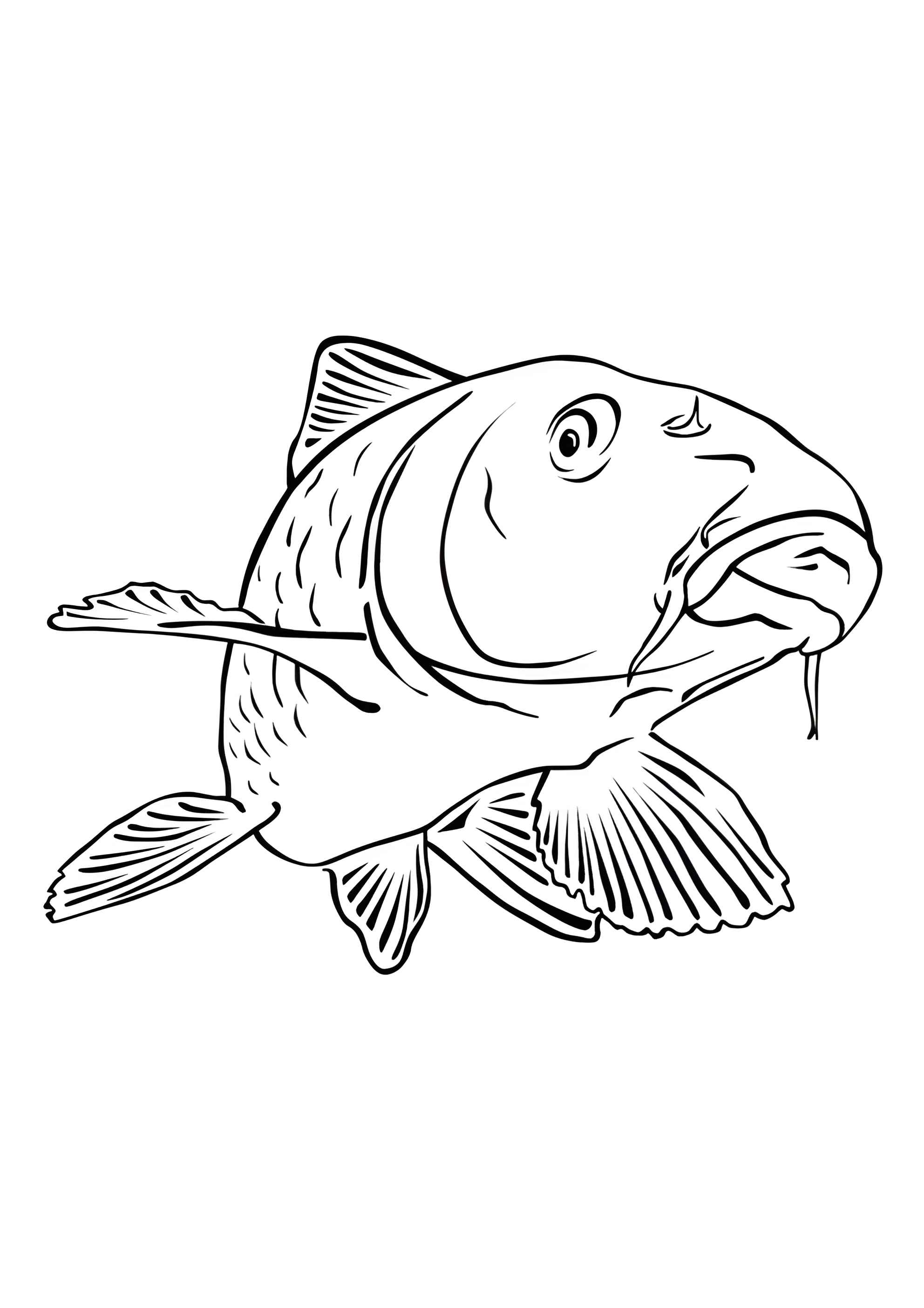 Раскраска Карп