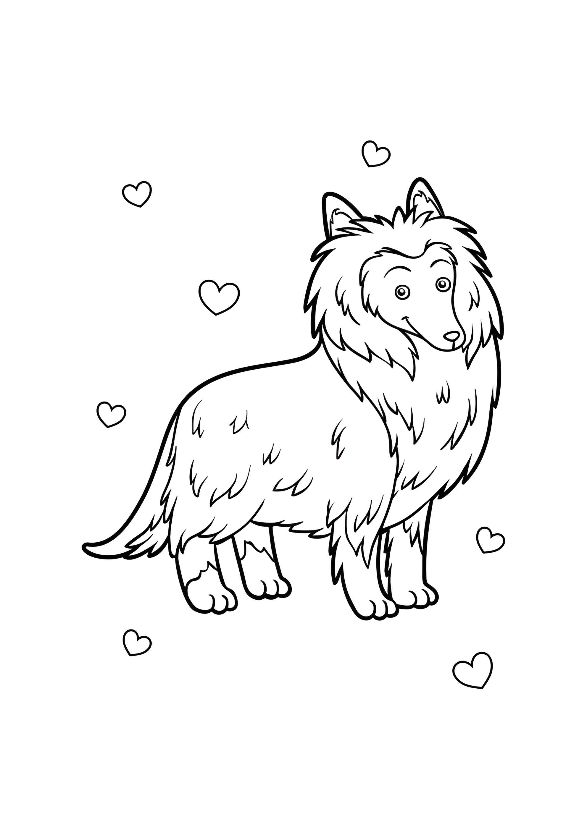 Раскраска Колли