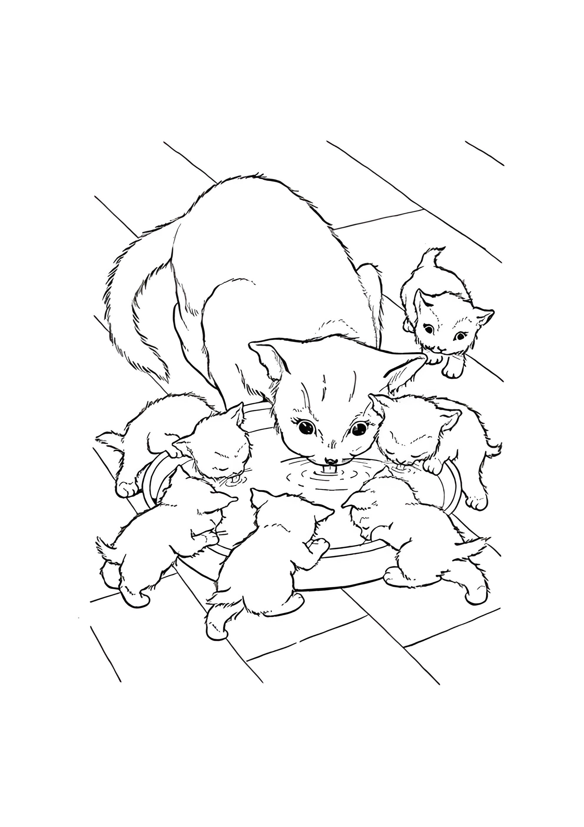 Раскраска Кошка и шесть котят