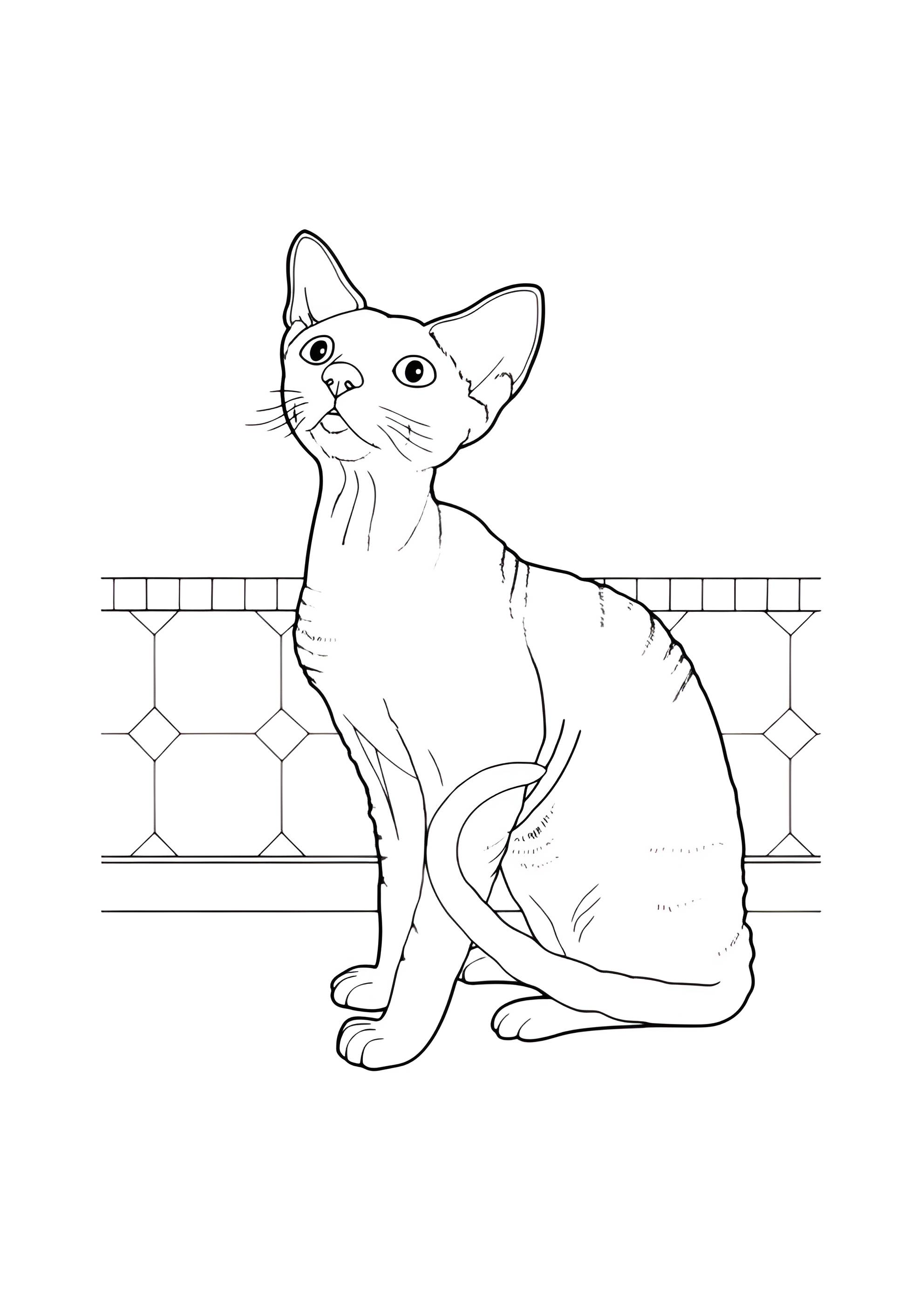 Раскраска Кошка просит, чтобы её покормили