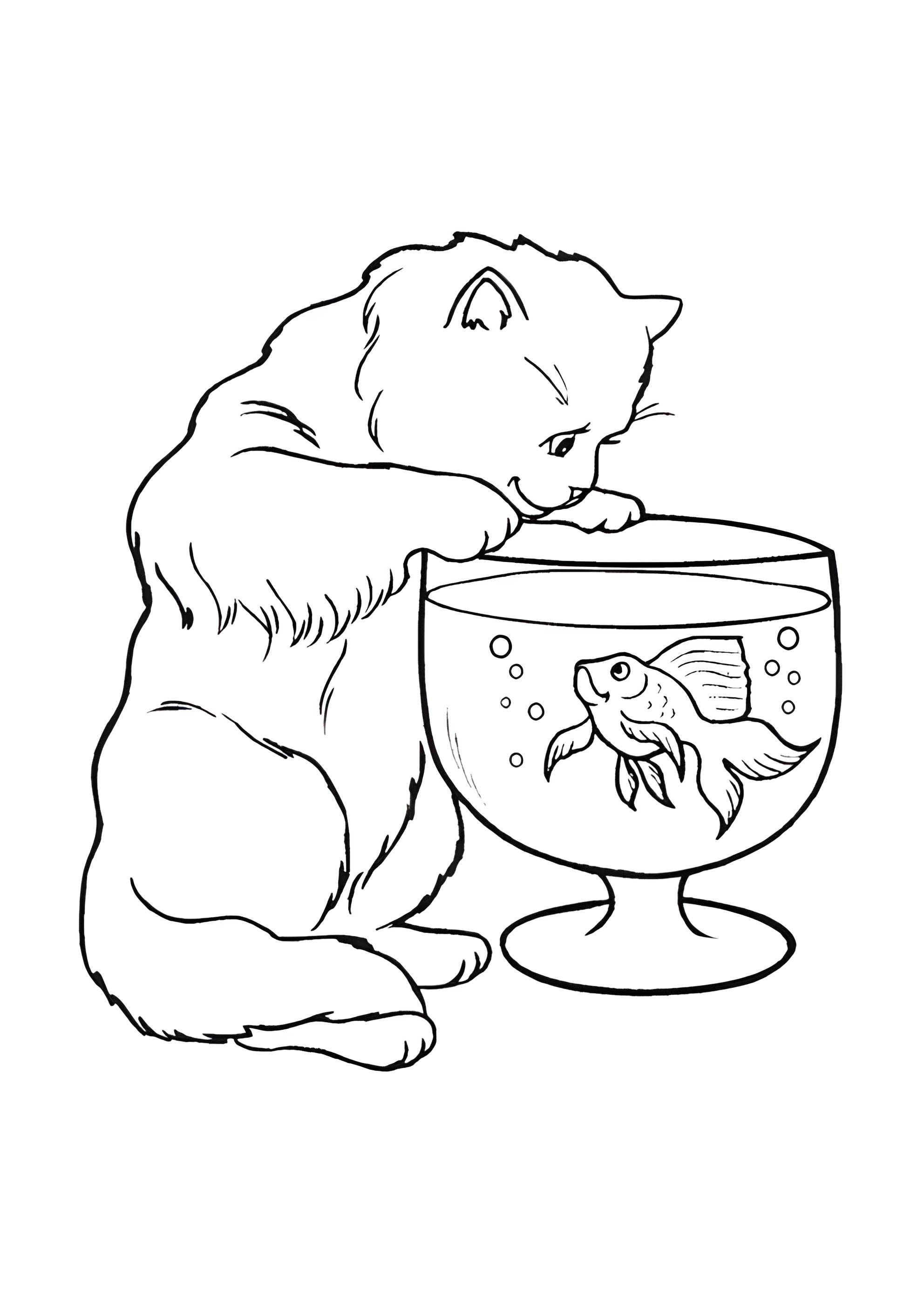 Раскраска Кот и золотая рыбка