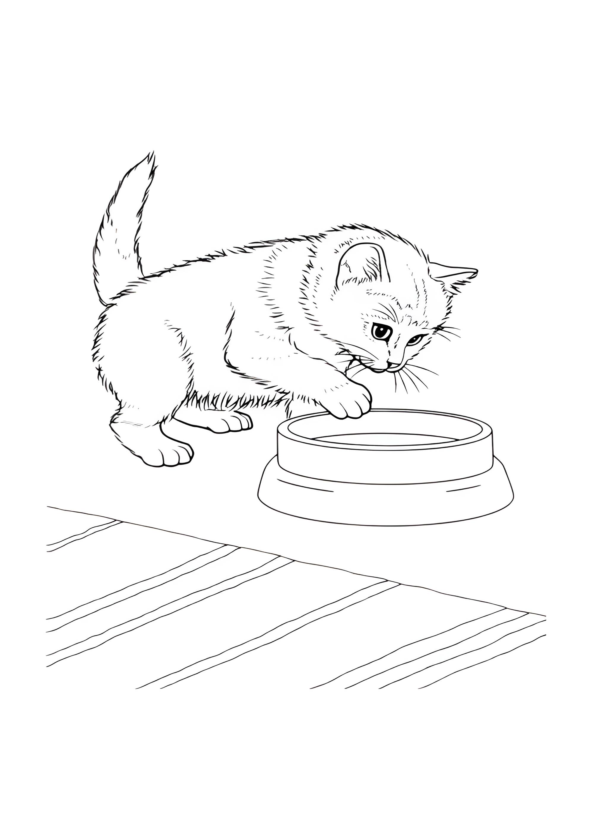 Раскраска Кот опускает лапу в мисочку