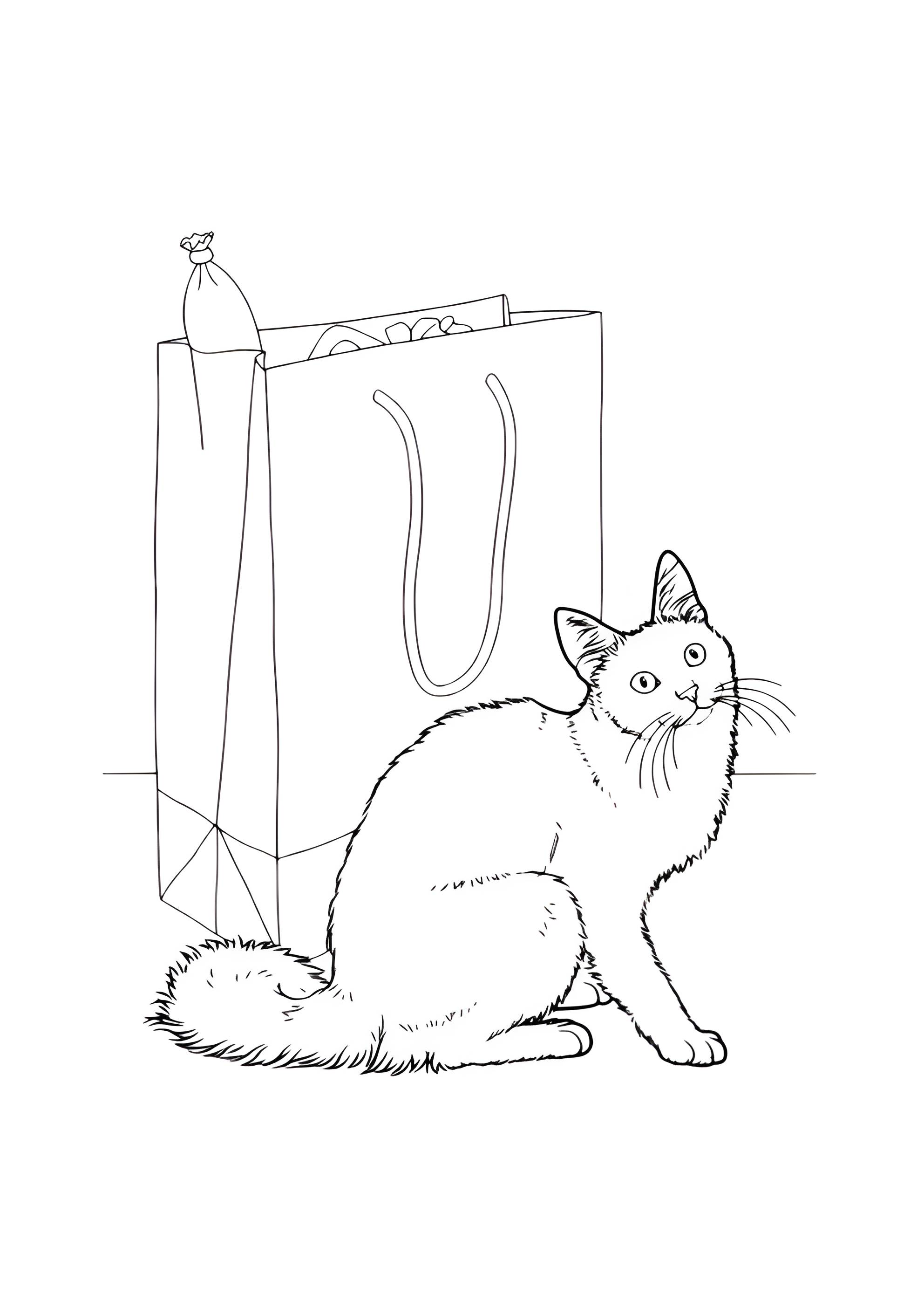 Раскраска Кот разбирает покупки