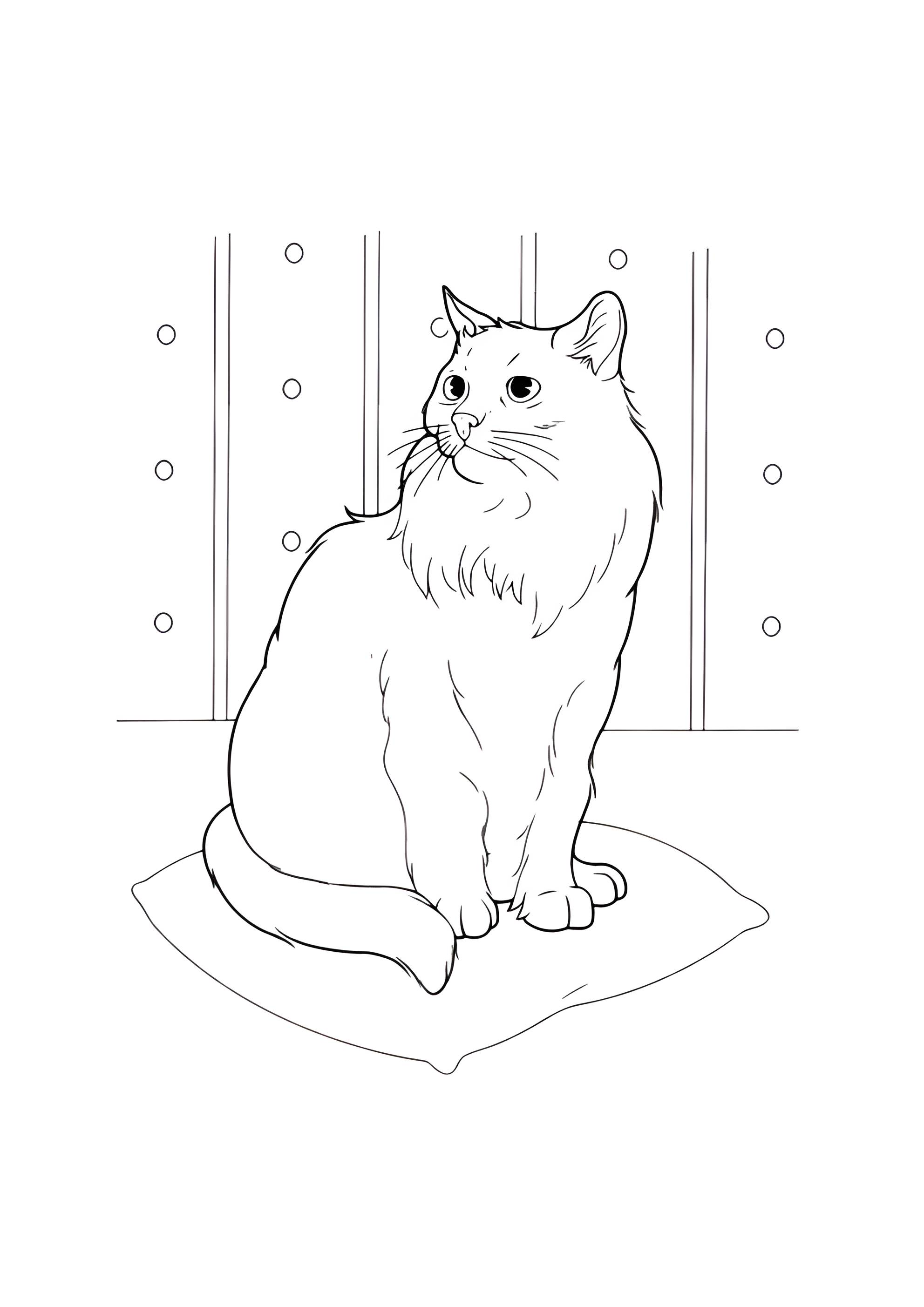 Раскраска Кот в задумчивости