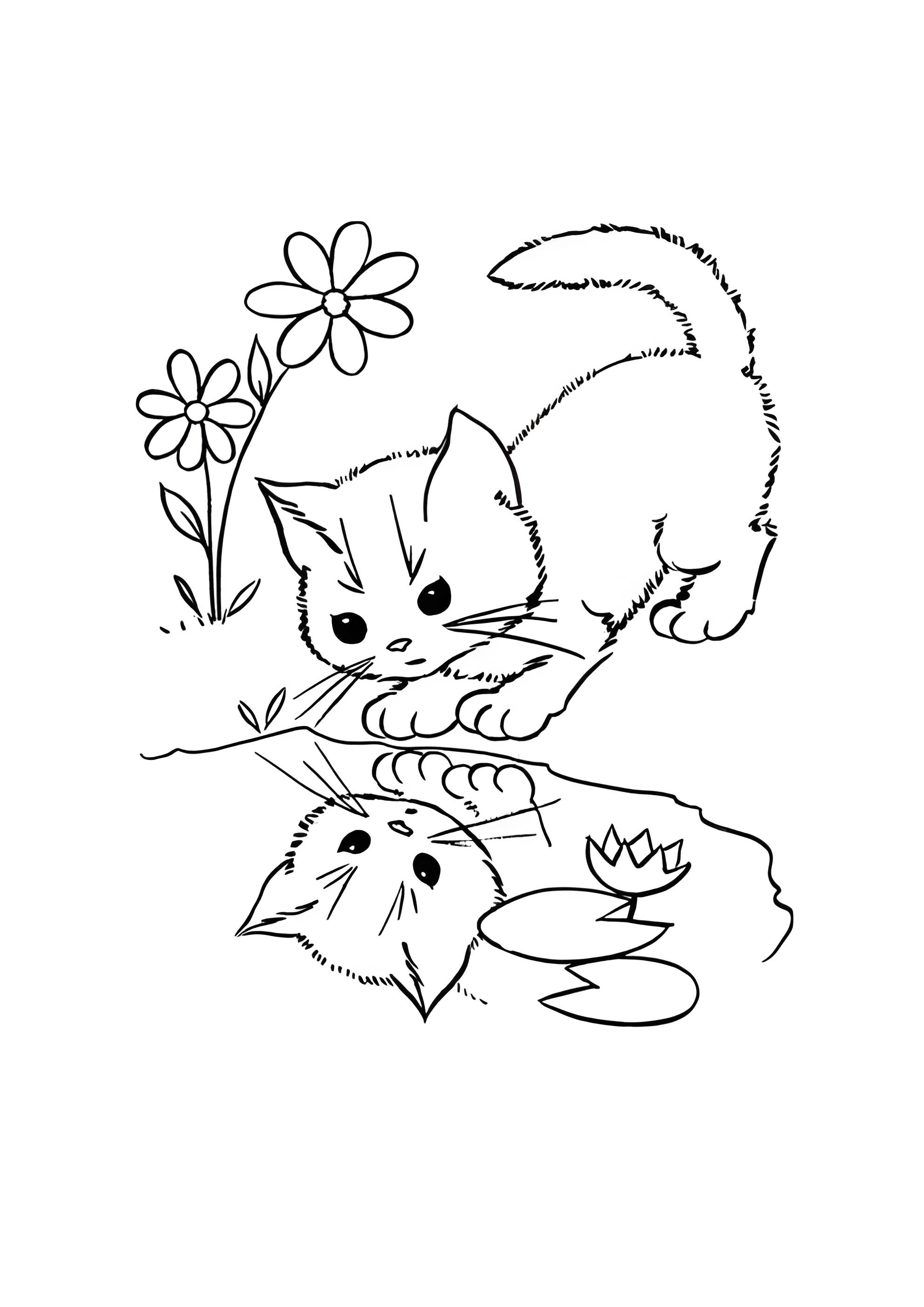 Раскраска Котенок смотрит на своё отражение в луже