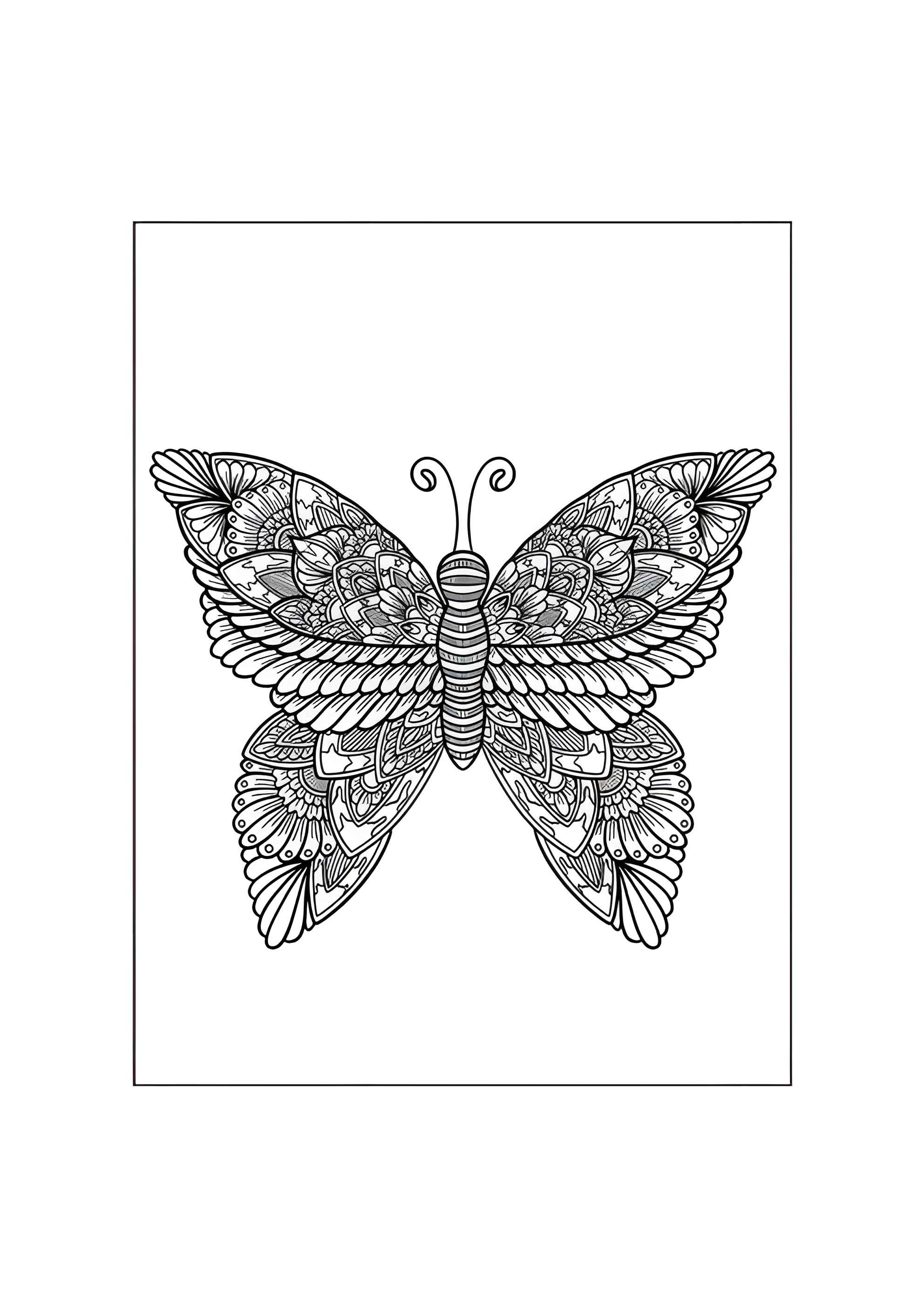 Раскраска Красивая бабочка антистресс